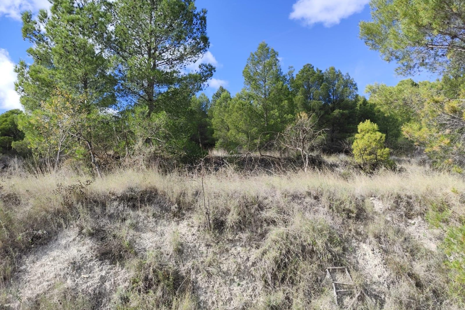 Resale - Land - Moratalla