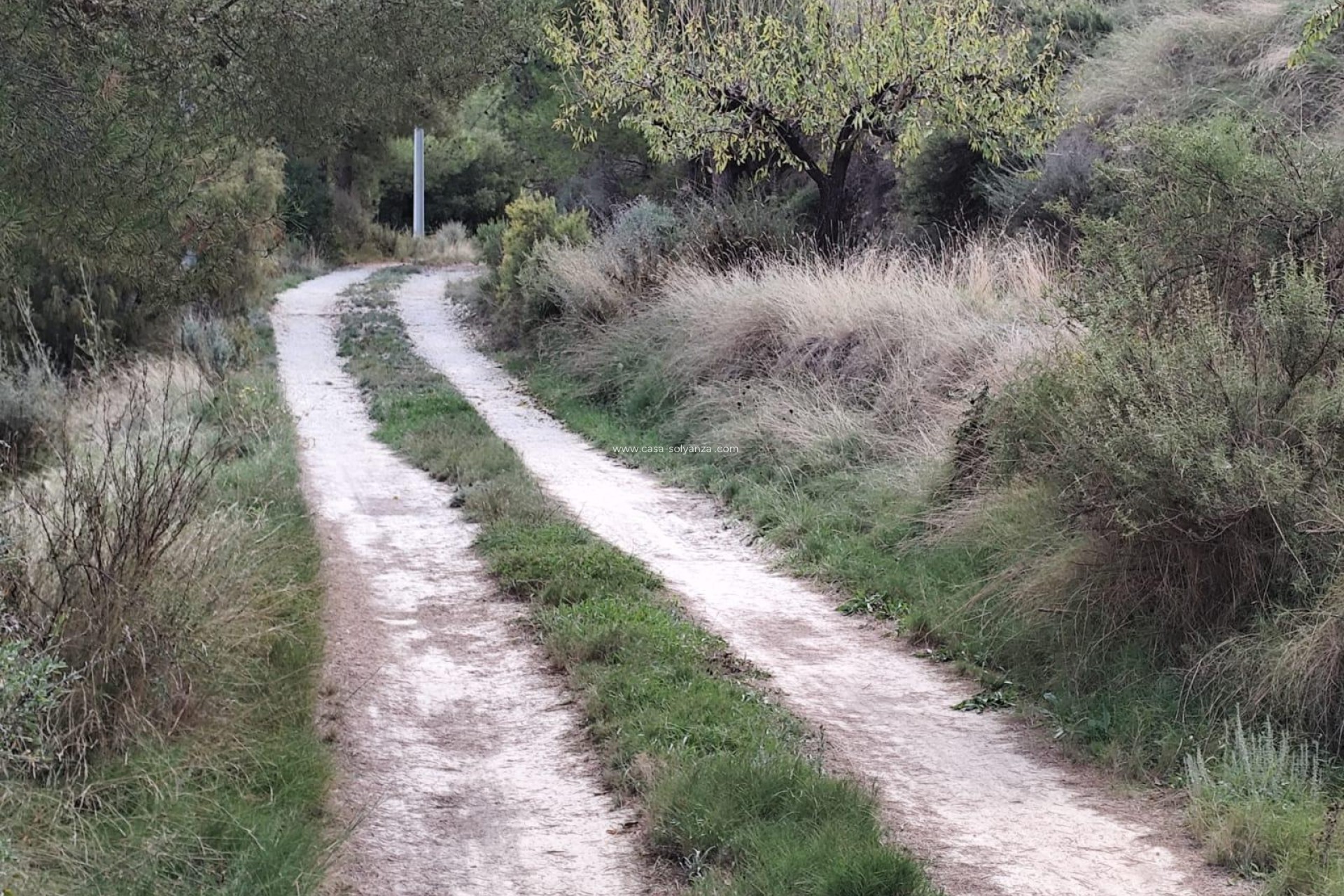 Resale - Land - Moratalla