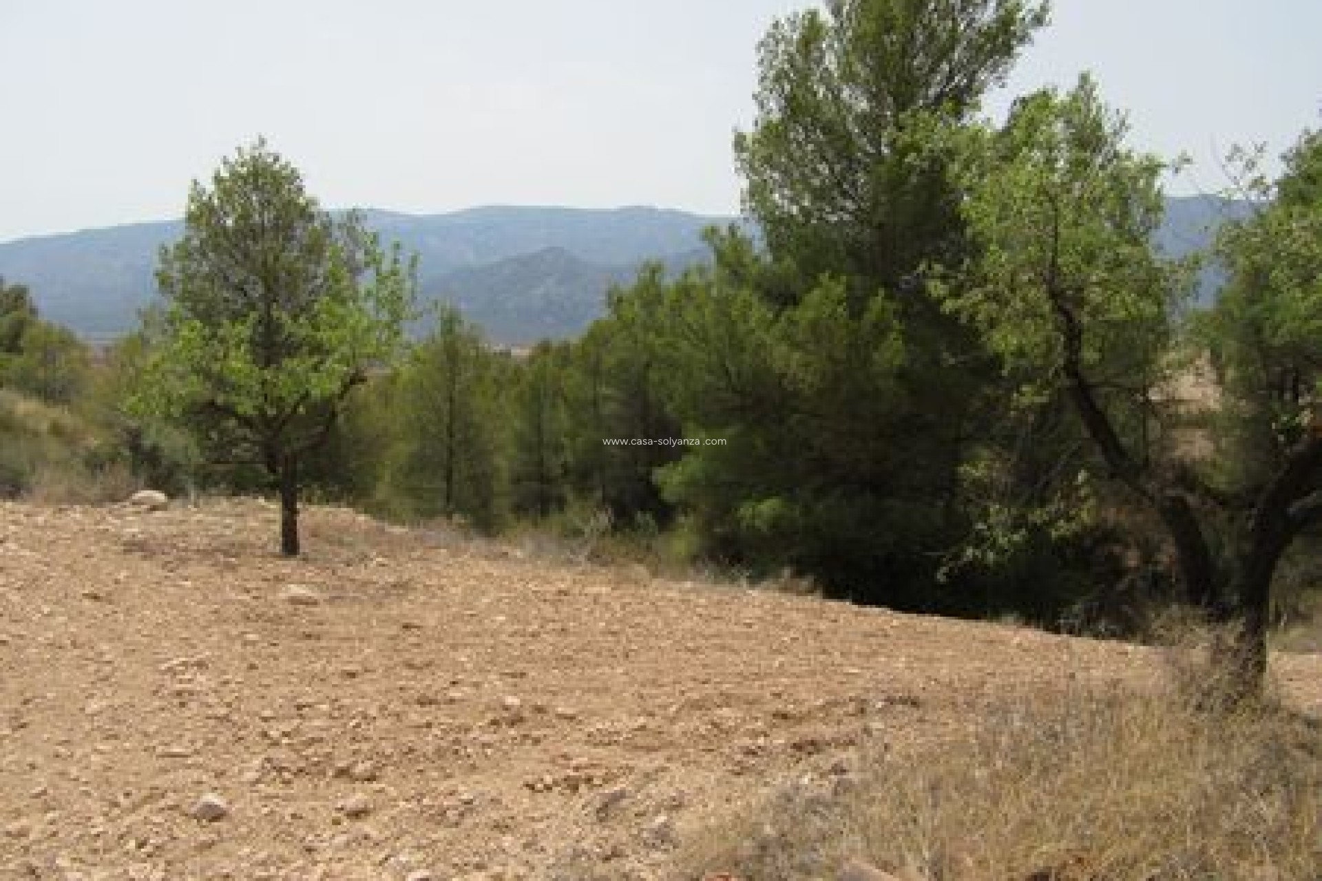 Resale - Land - Murcia