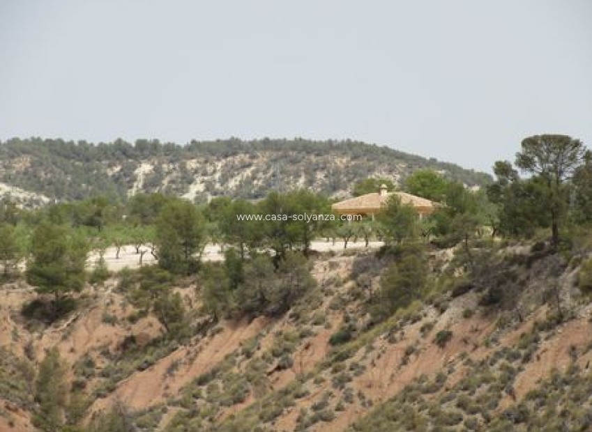 Resale - Land - Murcia