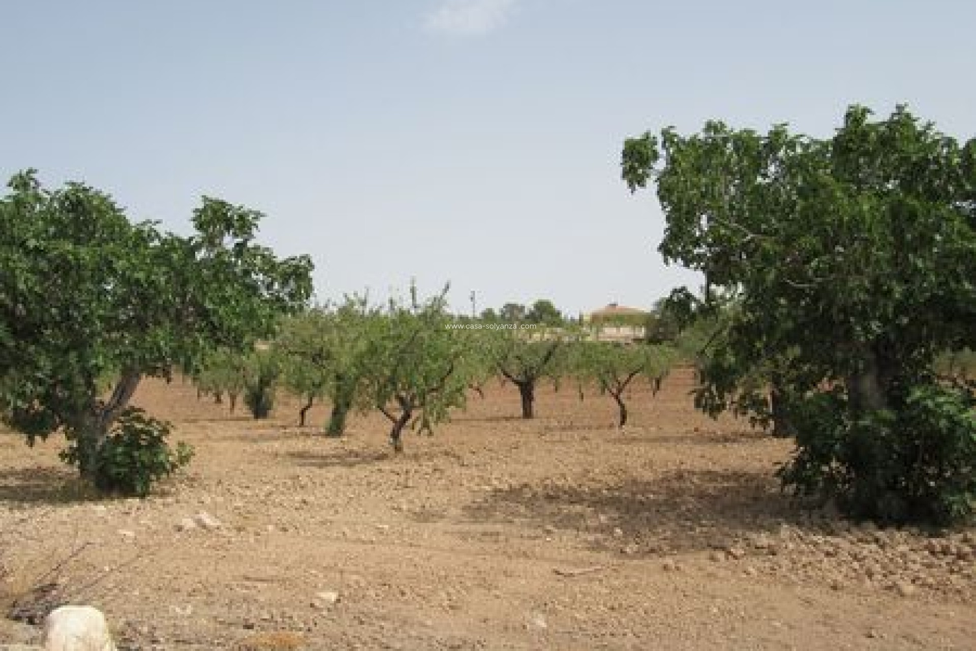 Resale - Land - Murcia