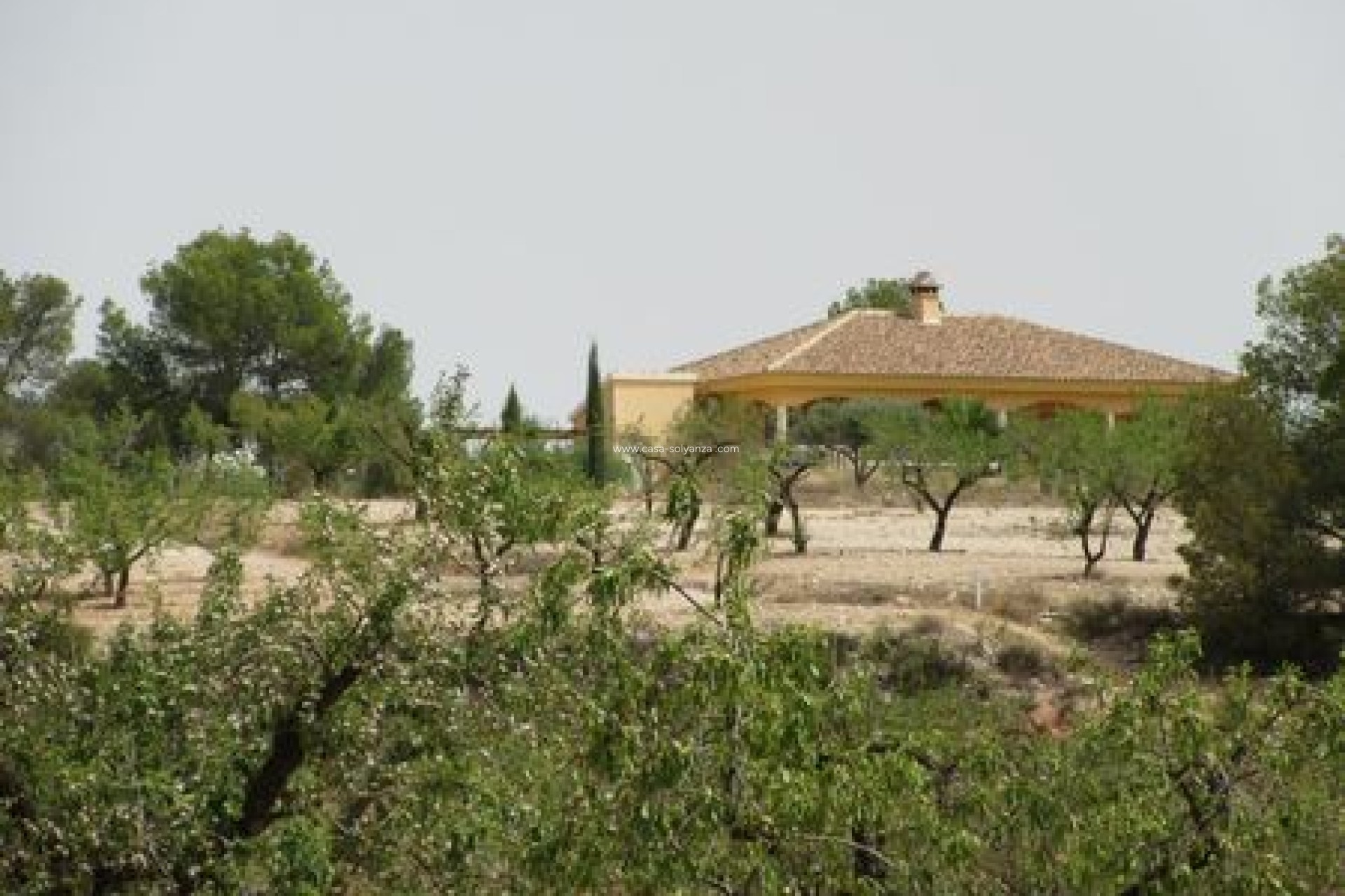 Resale - Land - Murcia