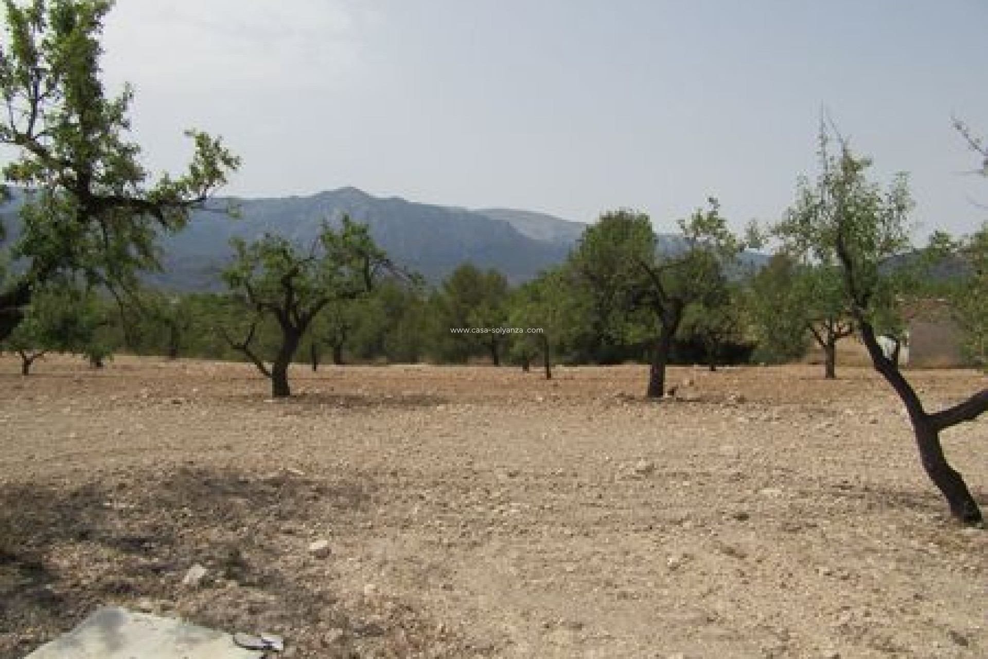Resale - Land - Murcia