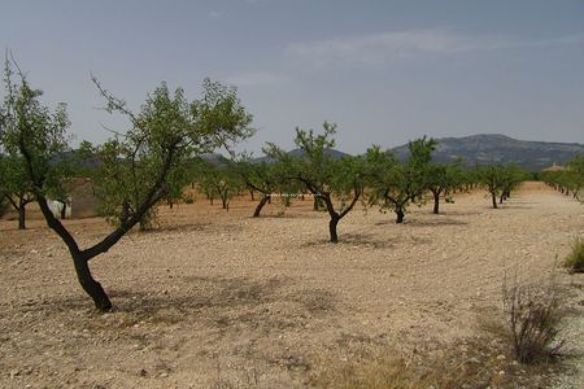 Resale - Land - Murcia