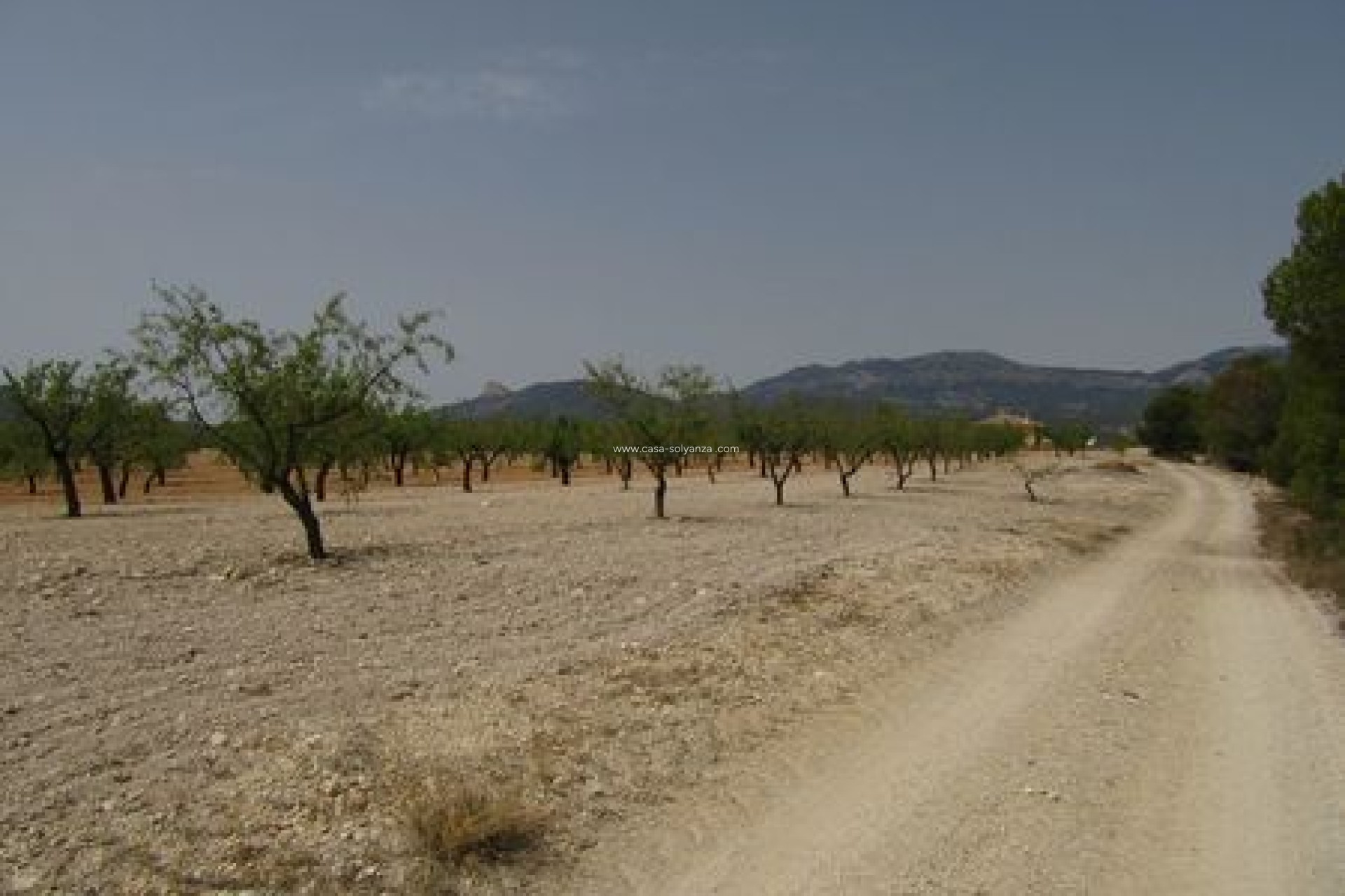 Resale - Land - Murcia