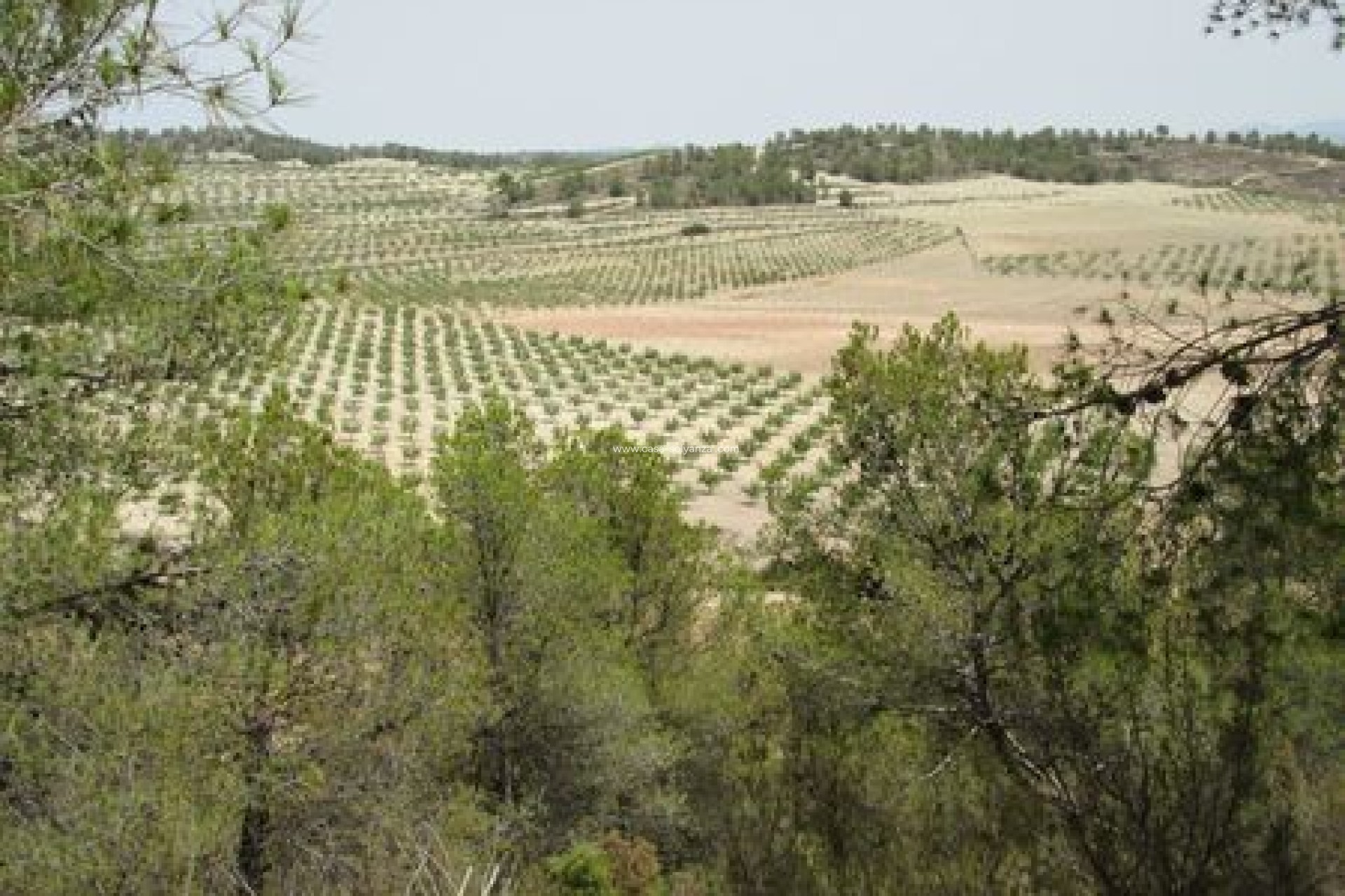 Resale - Land - Murcia