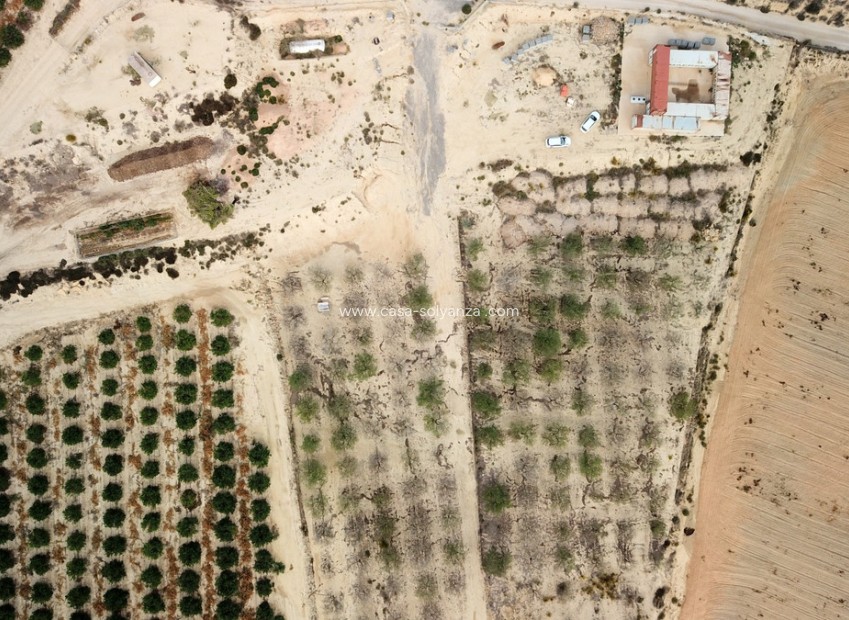 Resale - Land - Orihuela - Torremendo