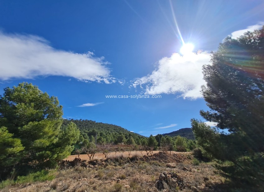 Resale - Land - Pinoso - Inland