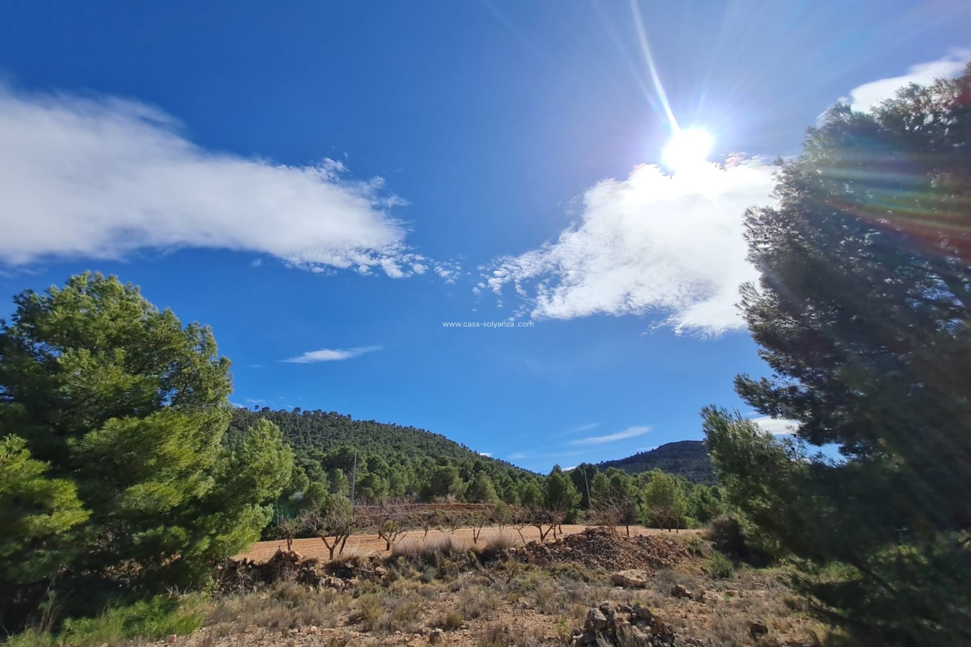Resale - Land - Pinoso - Inland