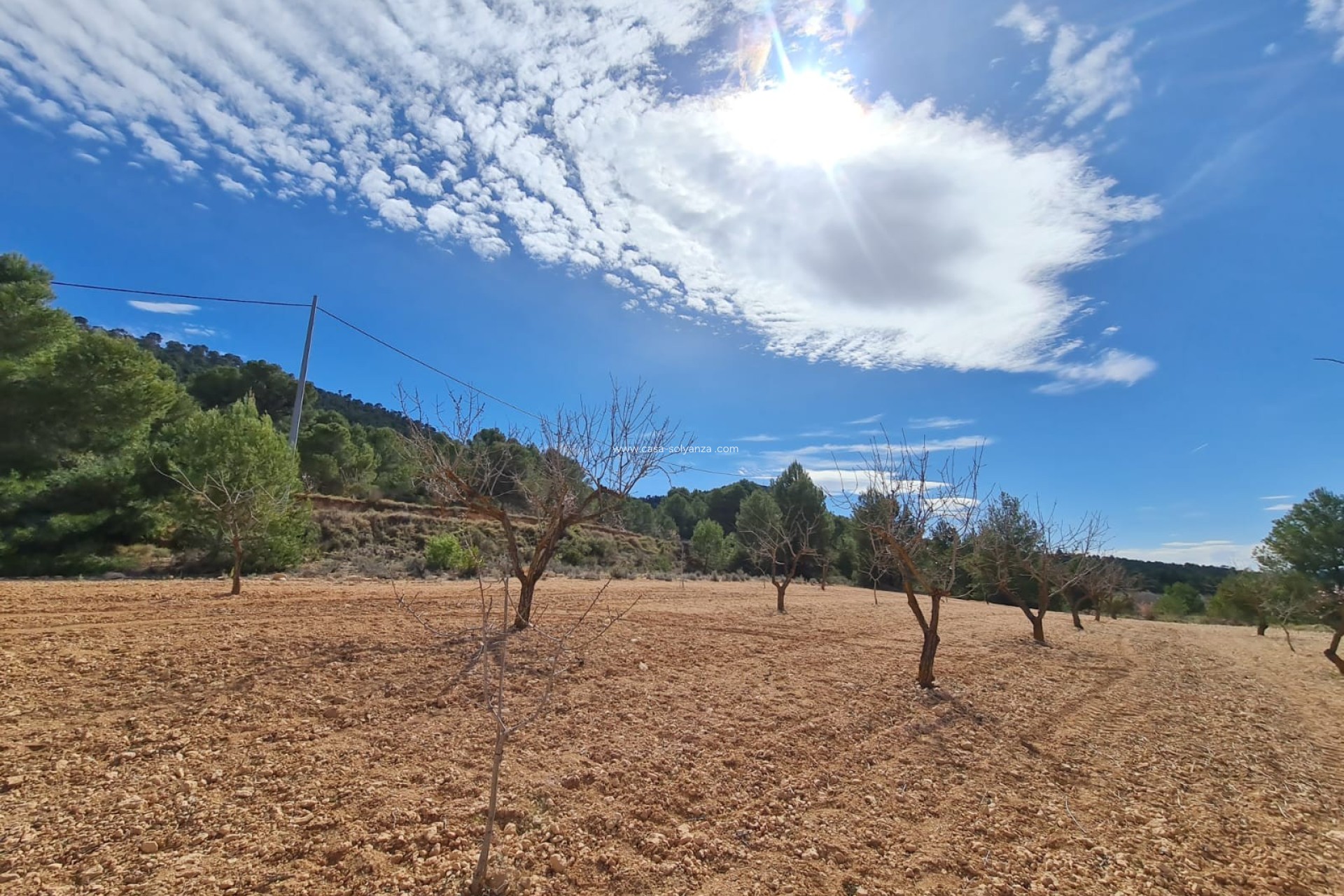 Resale - Land - Pinoso - Inland
