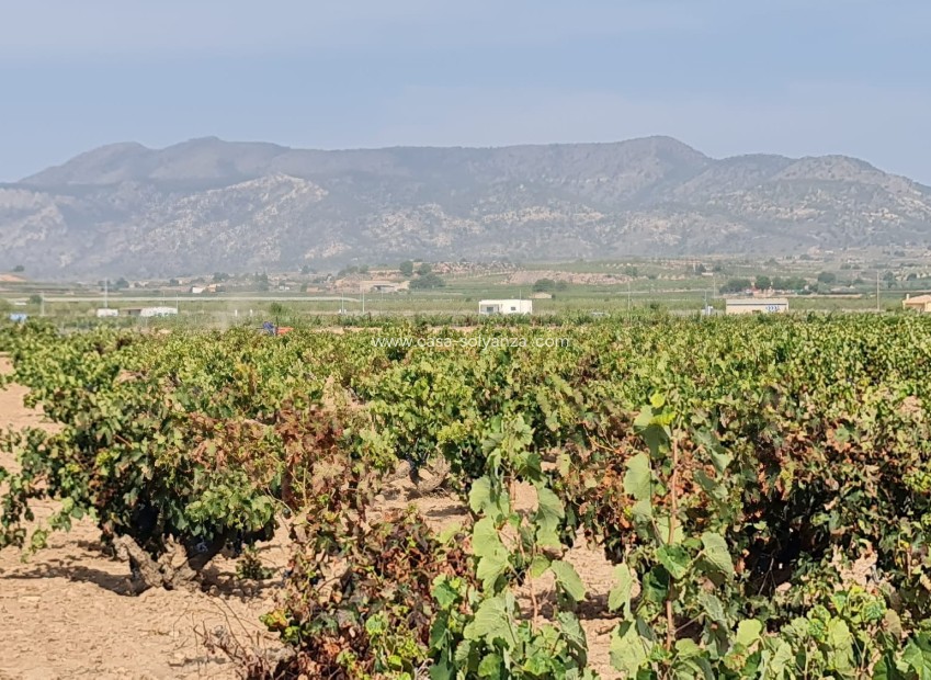 Resale - Land - Pinoso - Inland