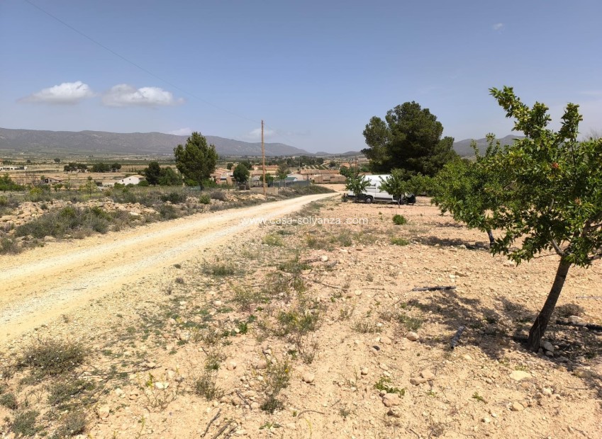 Resale - Land - Pinoso - Inland