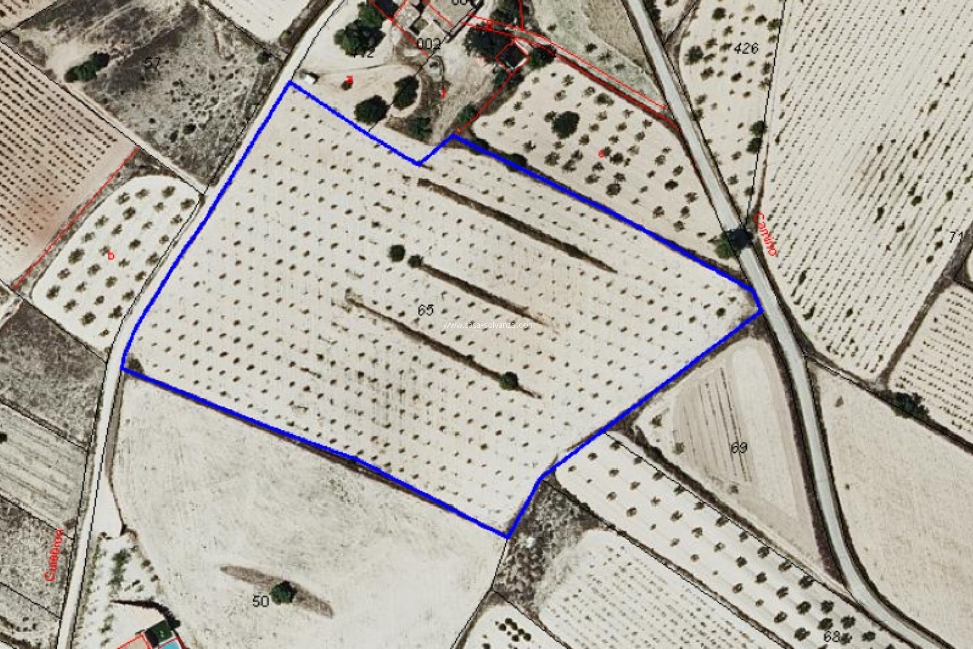 Resale - Land - Pinoso - Inland