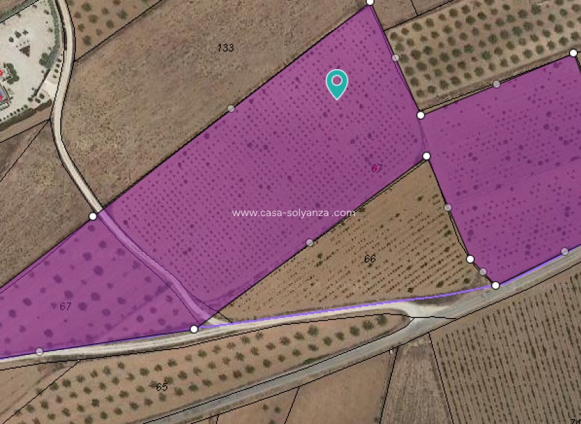 Resale - Land - Pinoso - Inland