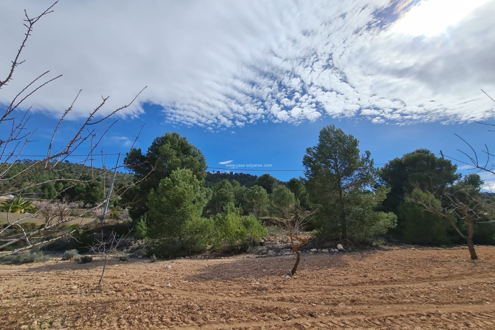 Resale - Land - Pinoso - Inland