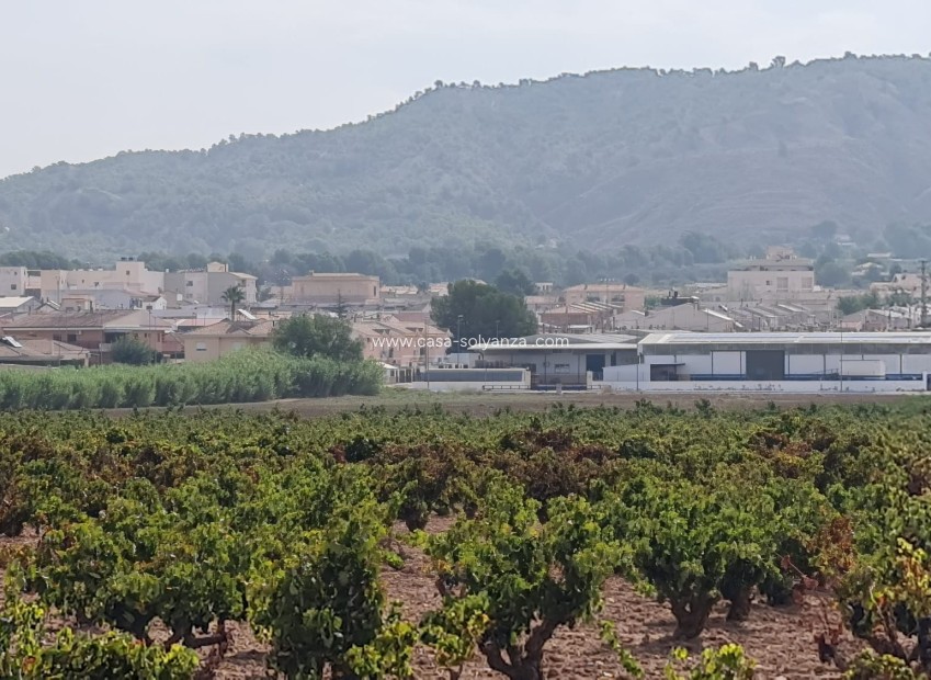 Resale - Land - Pinoso - Inland
