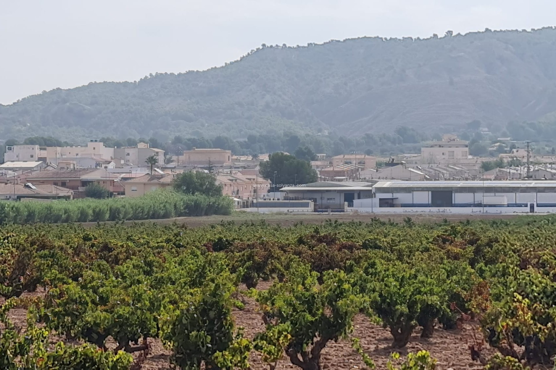 Resale - Land - Pinoso - Inland