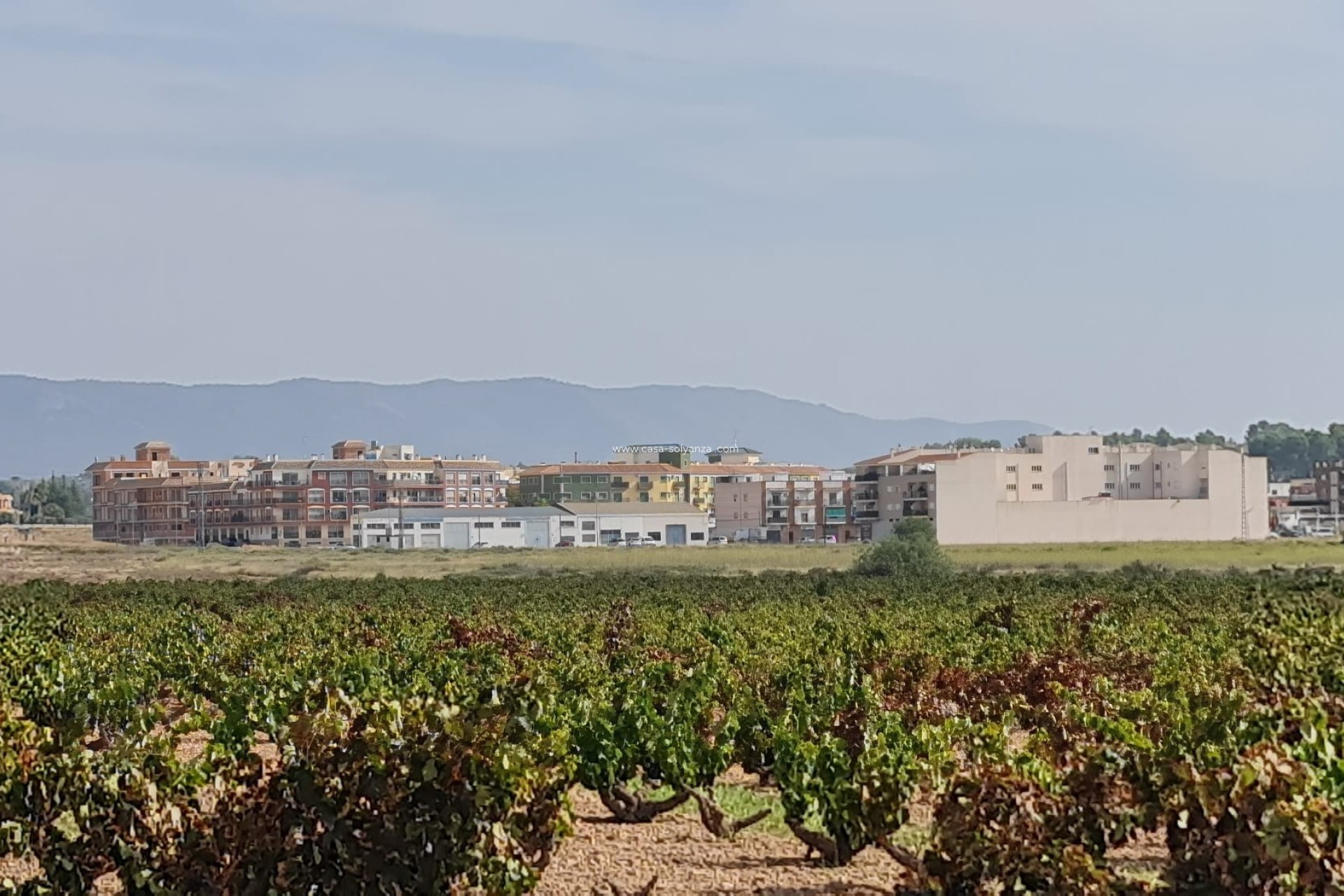 Resale - Land - Pinoso - Inland