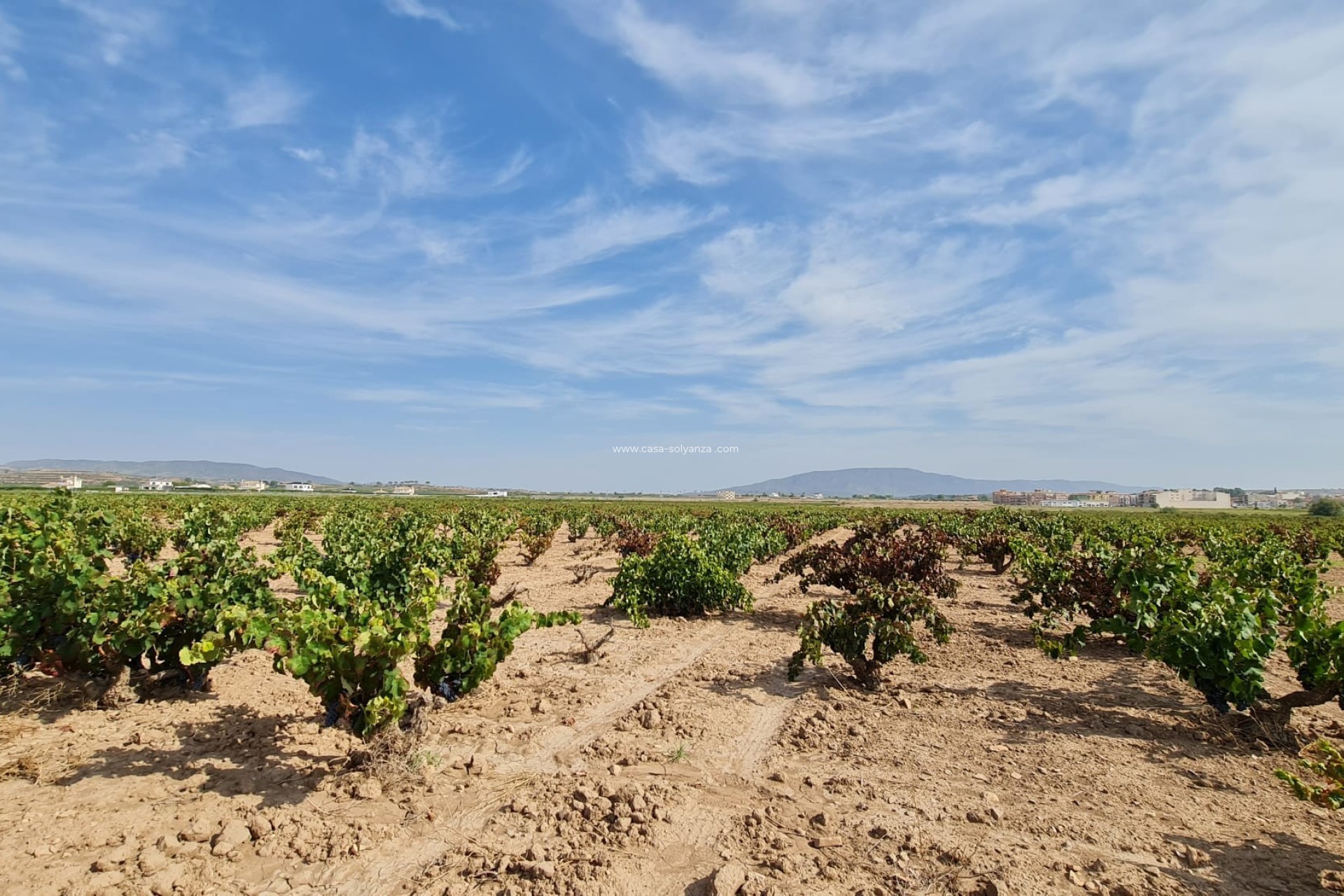 Resale - Land - Pinoso - Inland