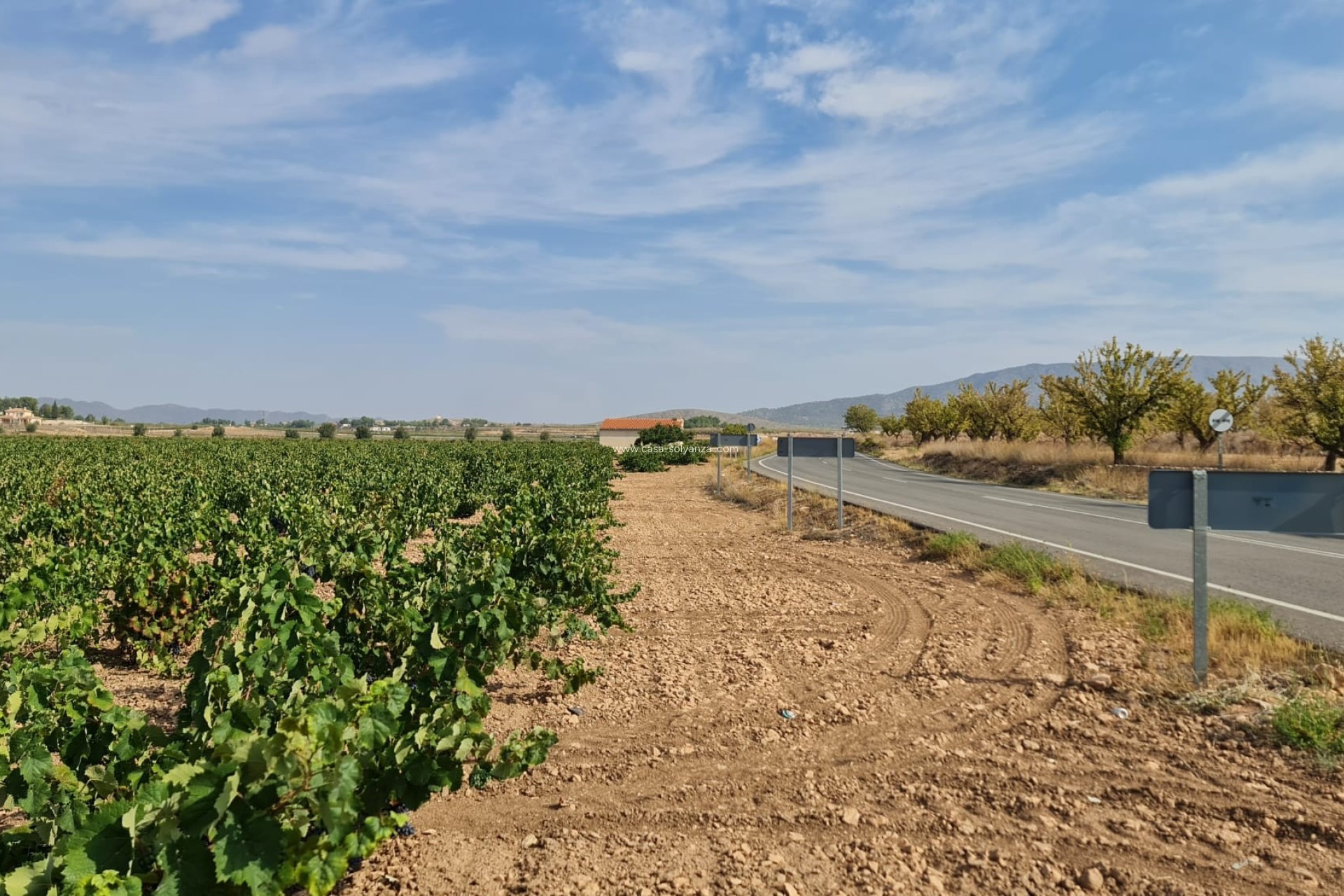 Resale - Land - Pinoso - Inland