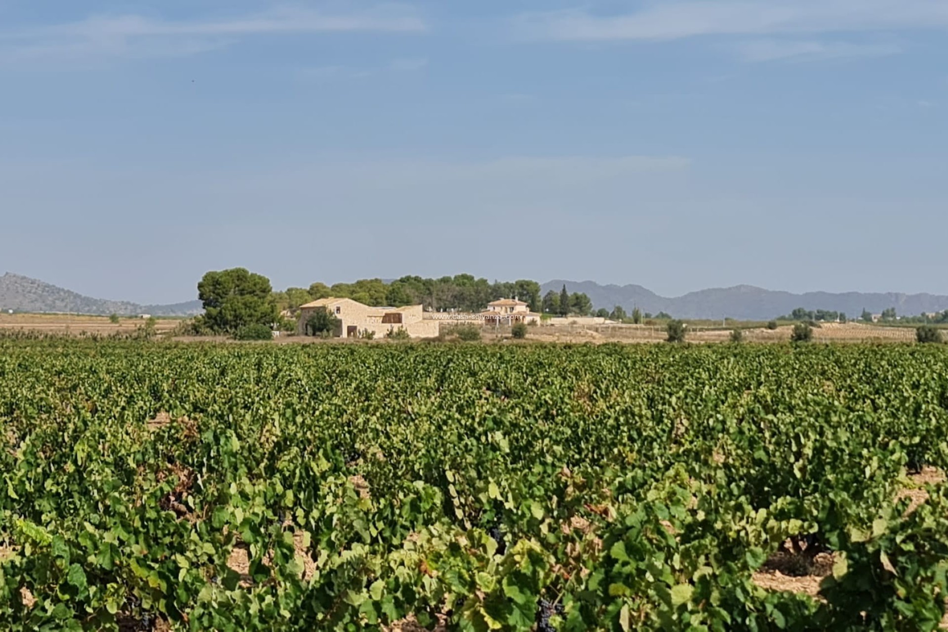 Resale - Land - Pinoso - Inland