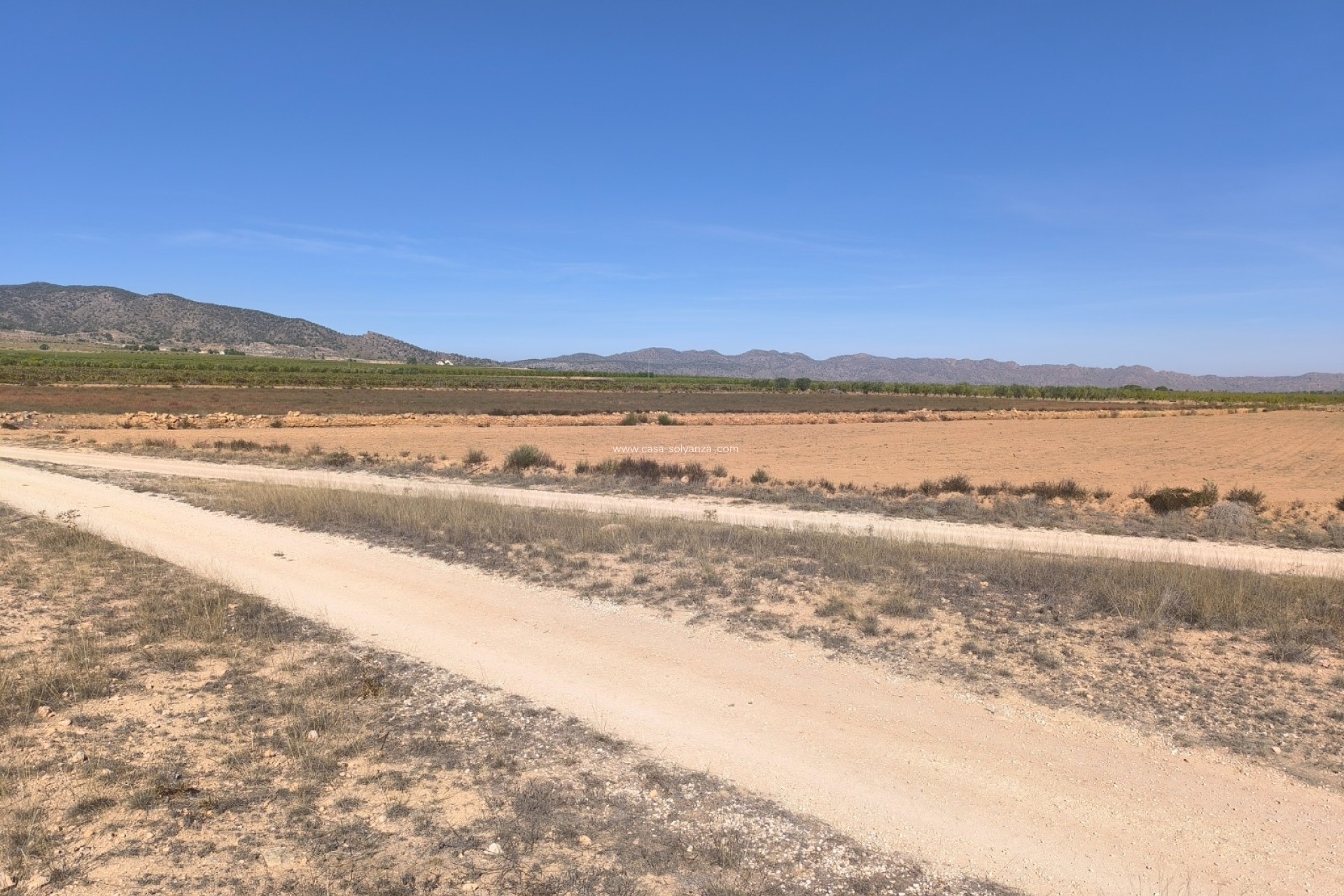 Resale - Land - Pinoso - Inland