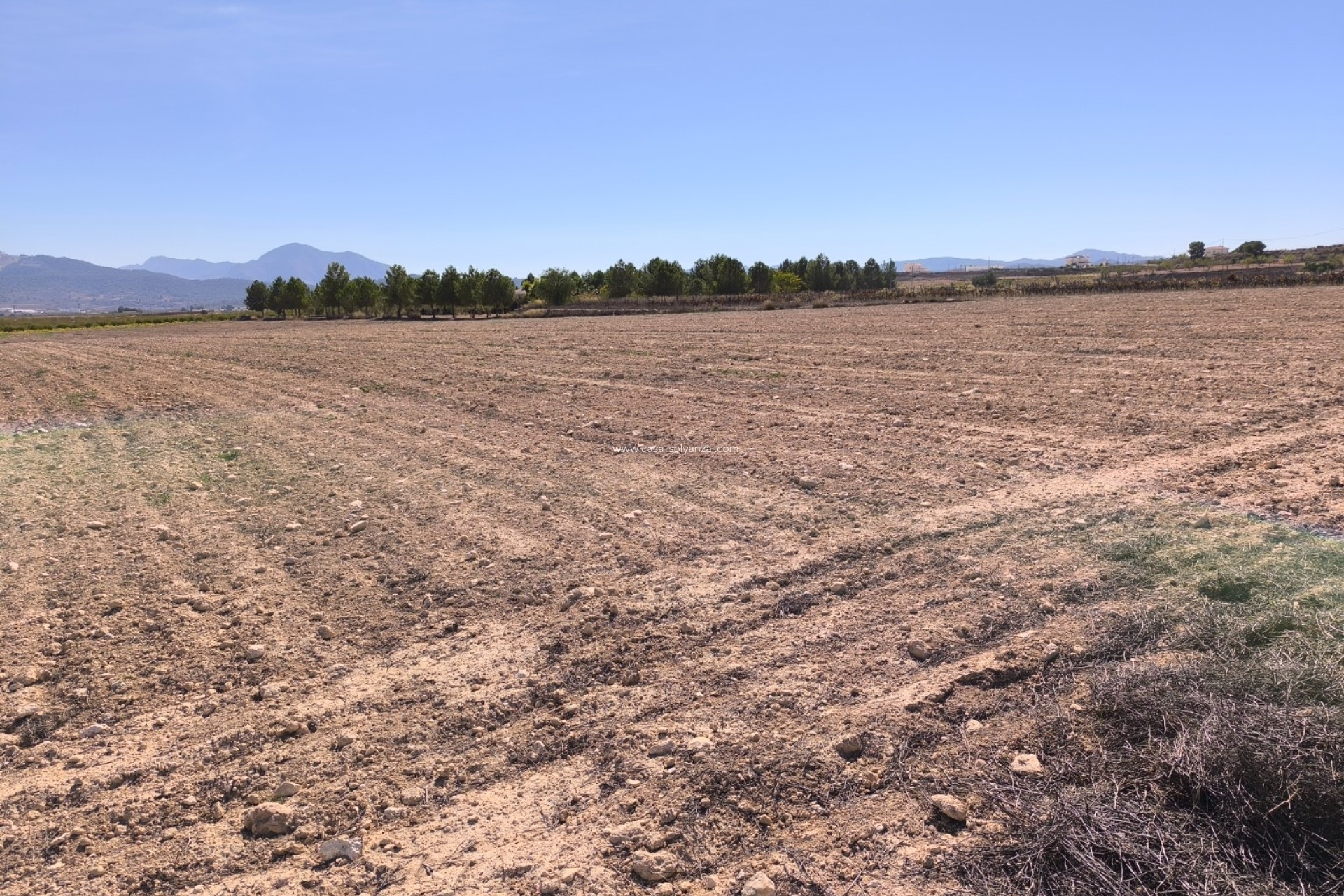 Resale - Land - Pinoso - Inland