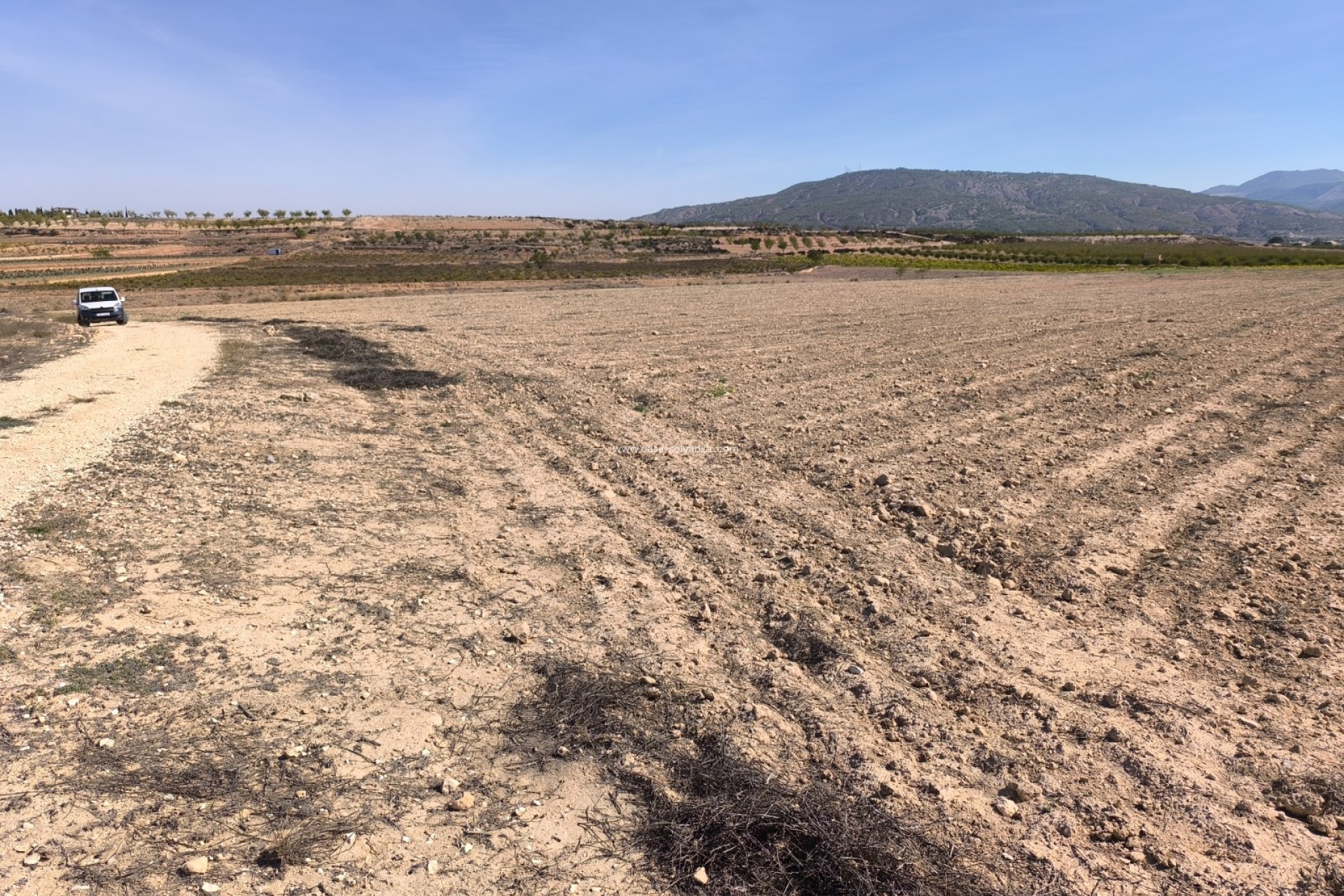 Resale - Land - Pinoso - Inland