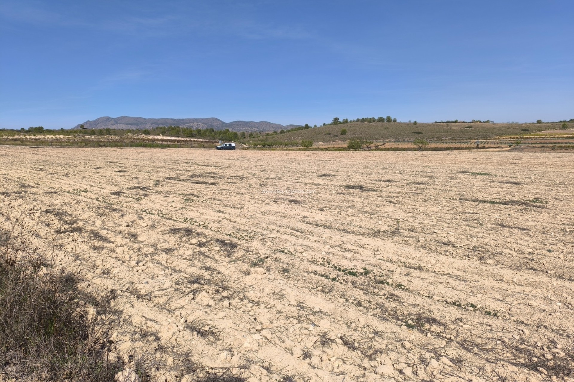 Resale - Land - Pinoso - Inland