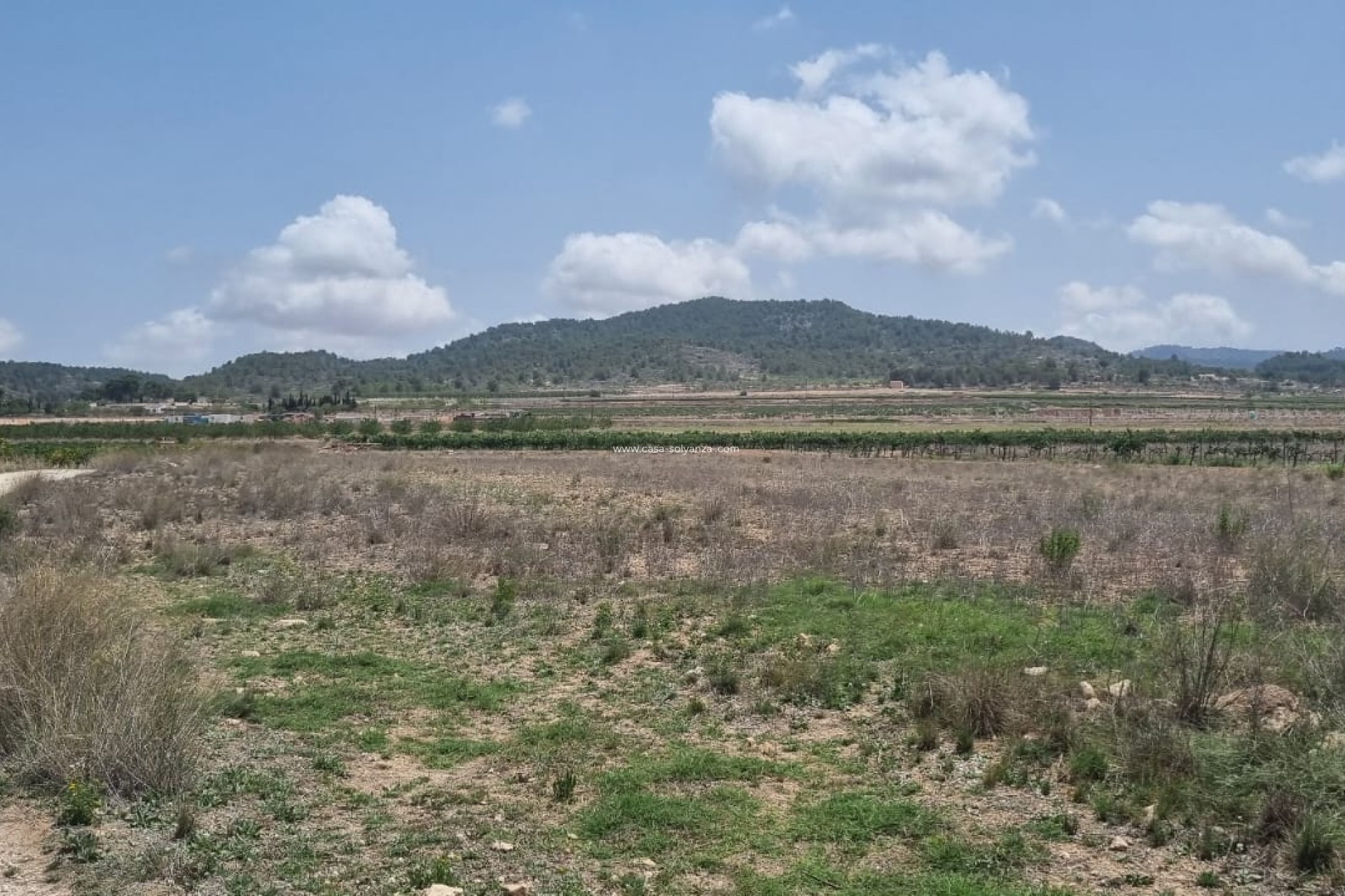 Resale - Land - Pinoso - Inland