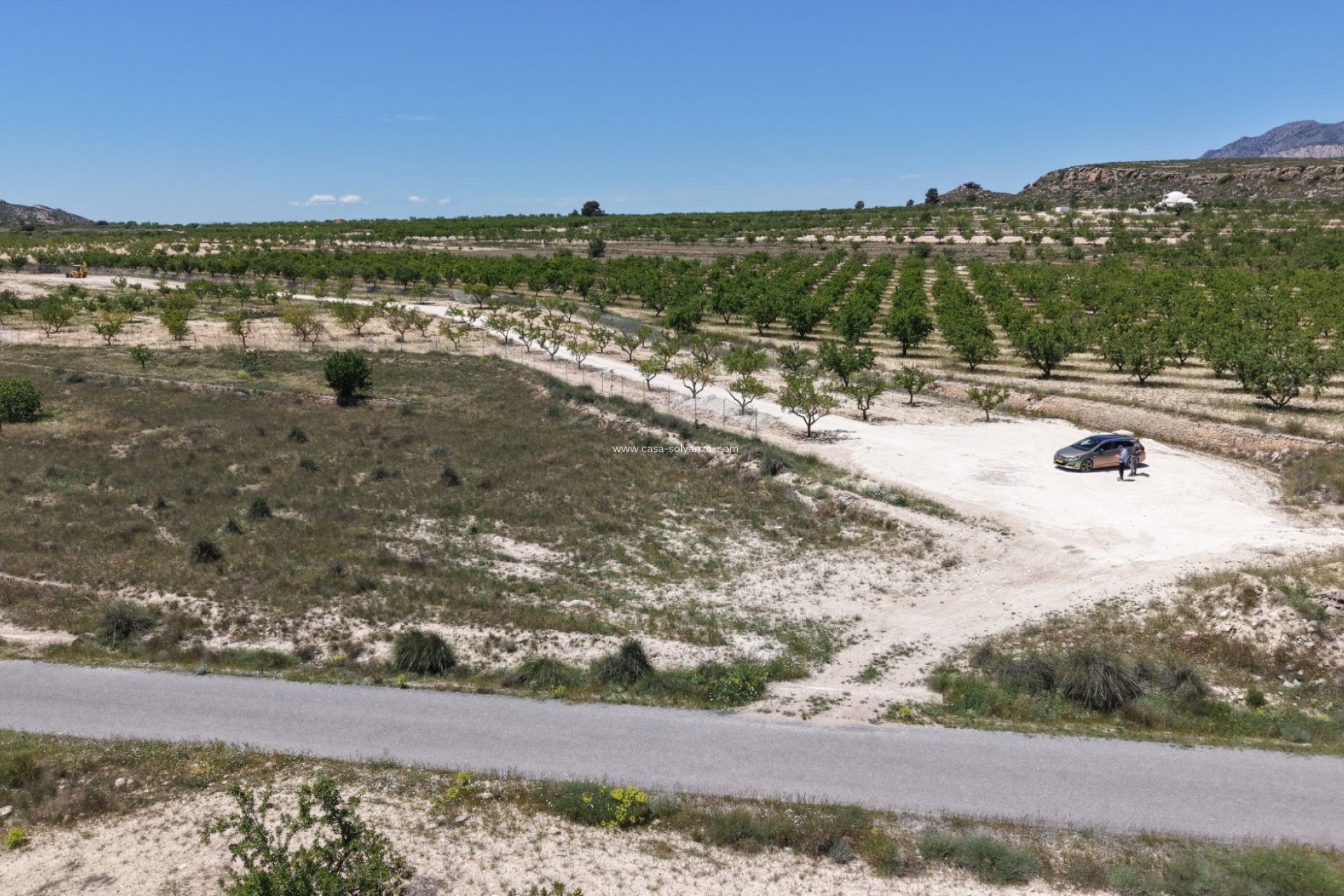 Resale - Land - Pinoso - Inland