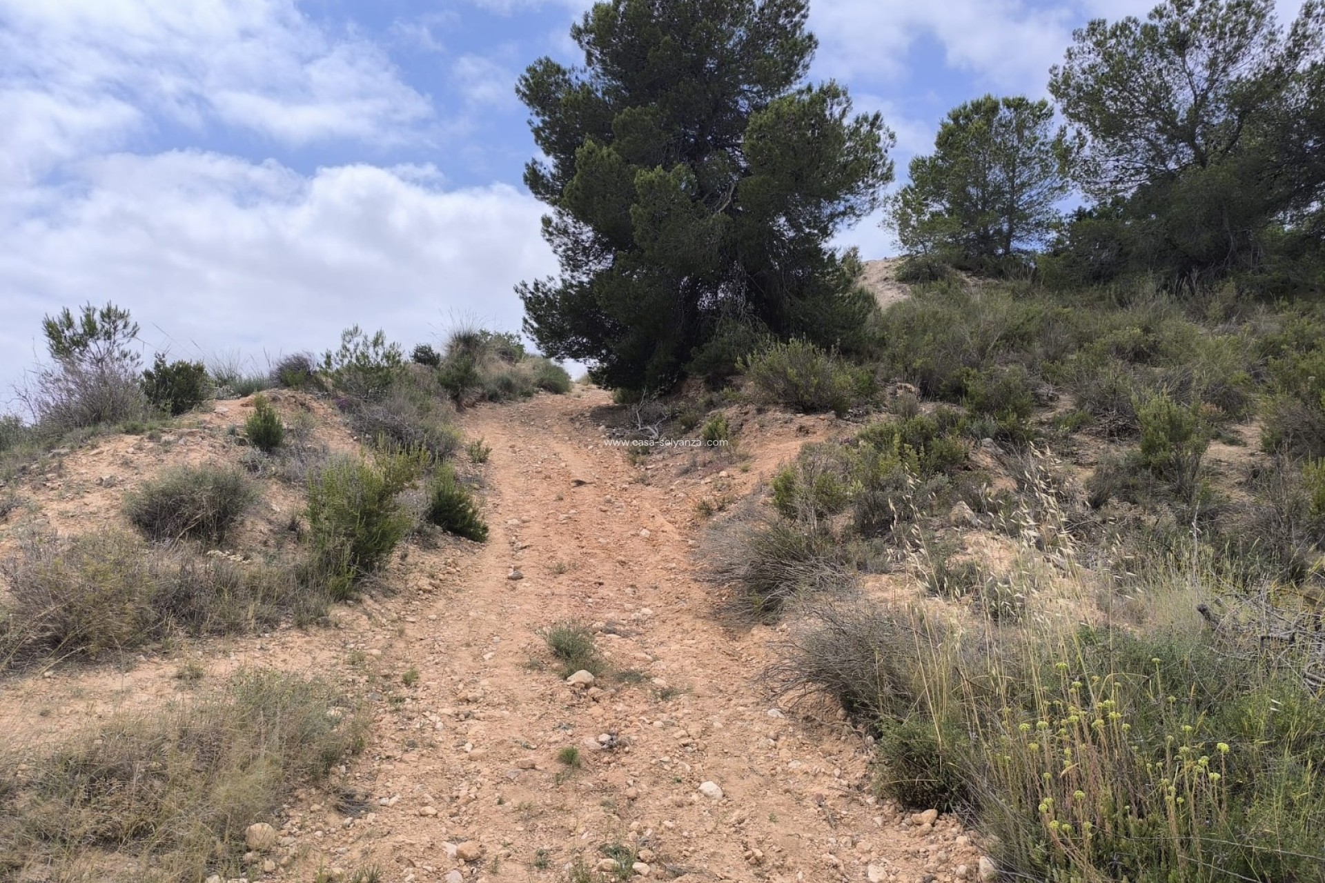 Resale - Land - Pinoso - Inland