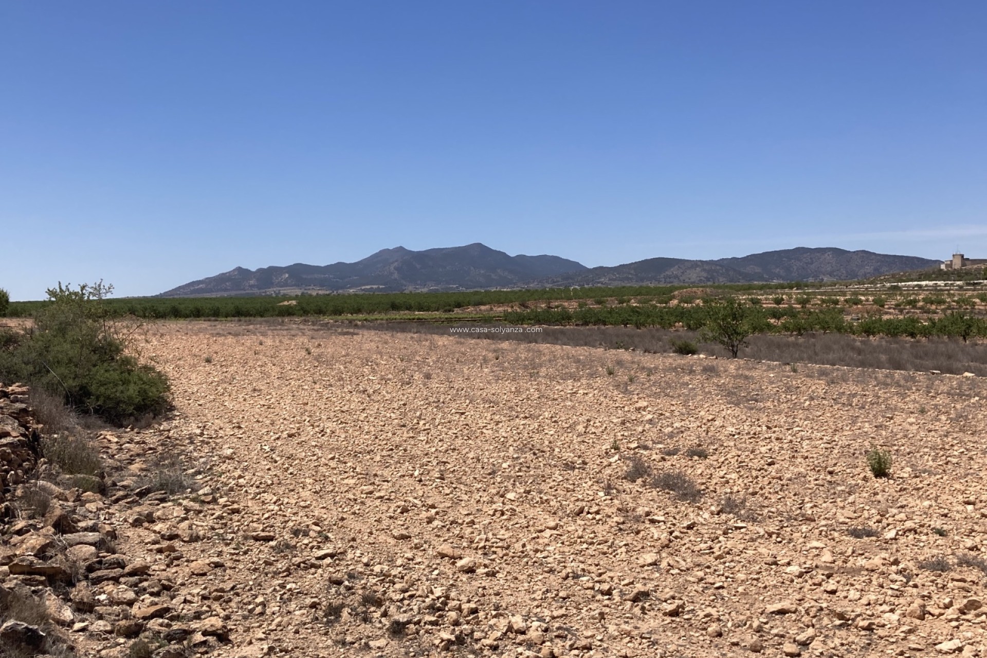 Resale - Land - Pinoso - Lel