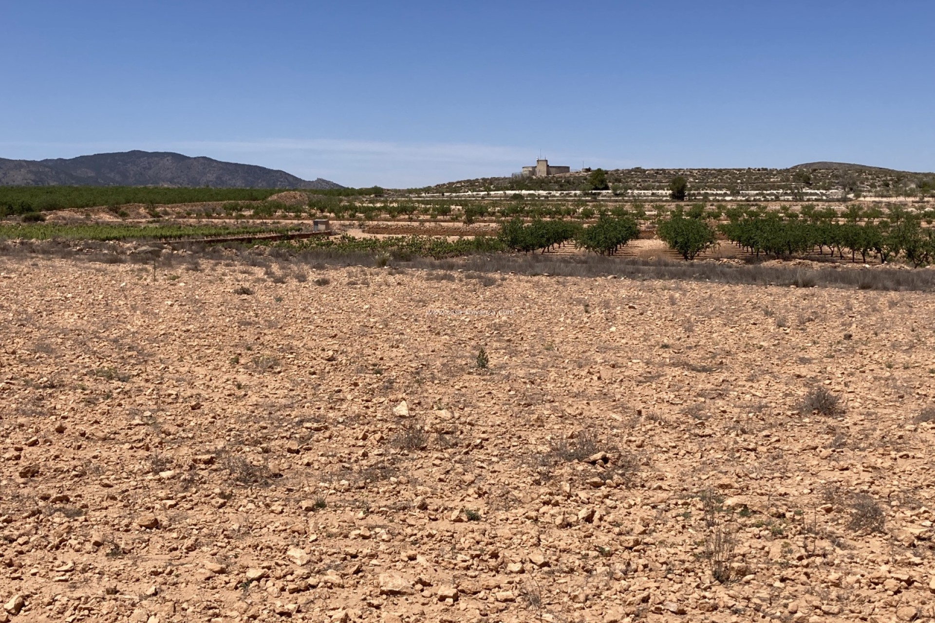 Resale - Land - Pinoso - Lel