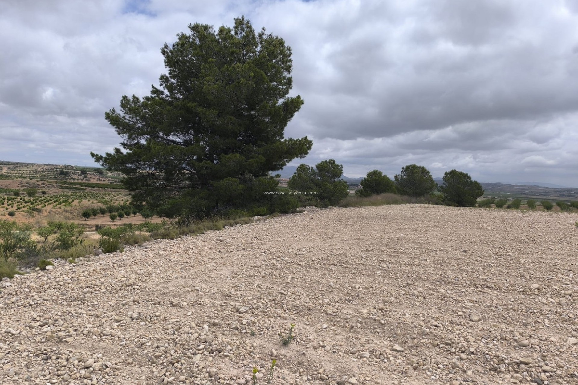 Resale - Land - Pinoso - Pinoso Centro