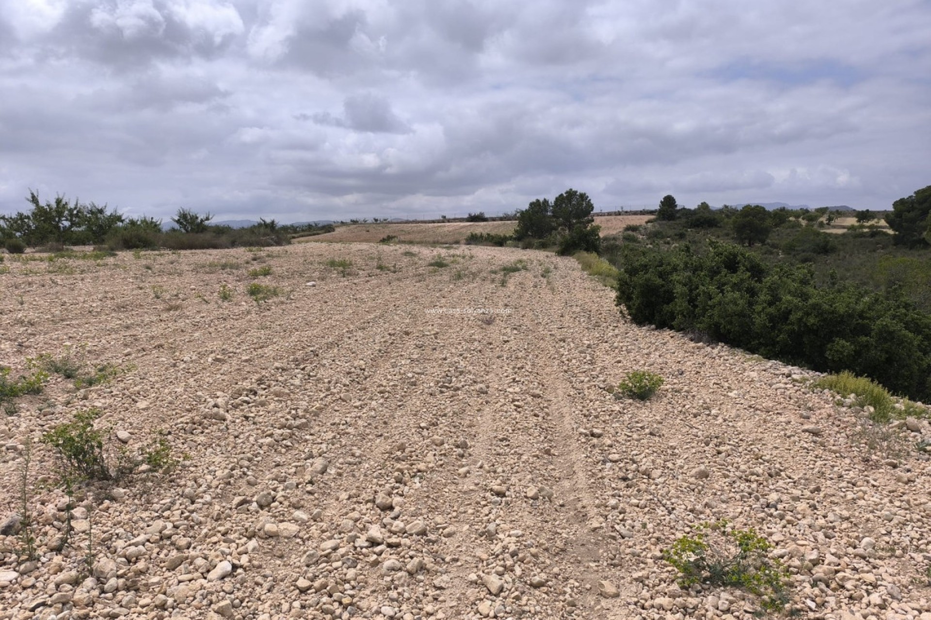 Resale - Land - Pinoso - Pinoso Centro
