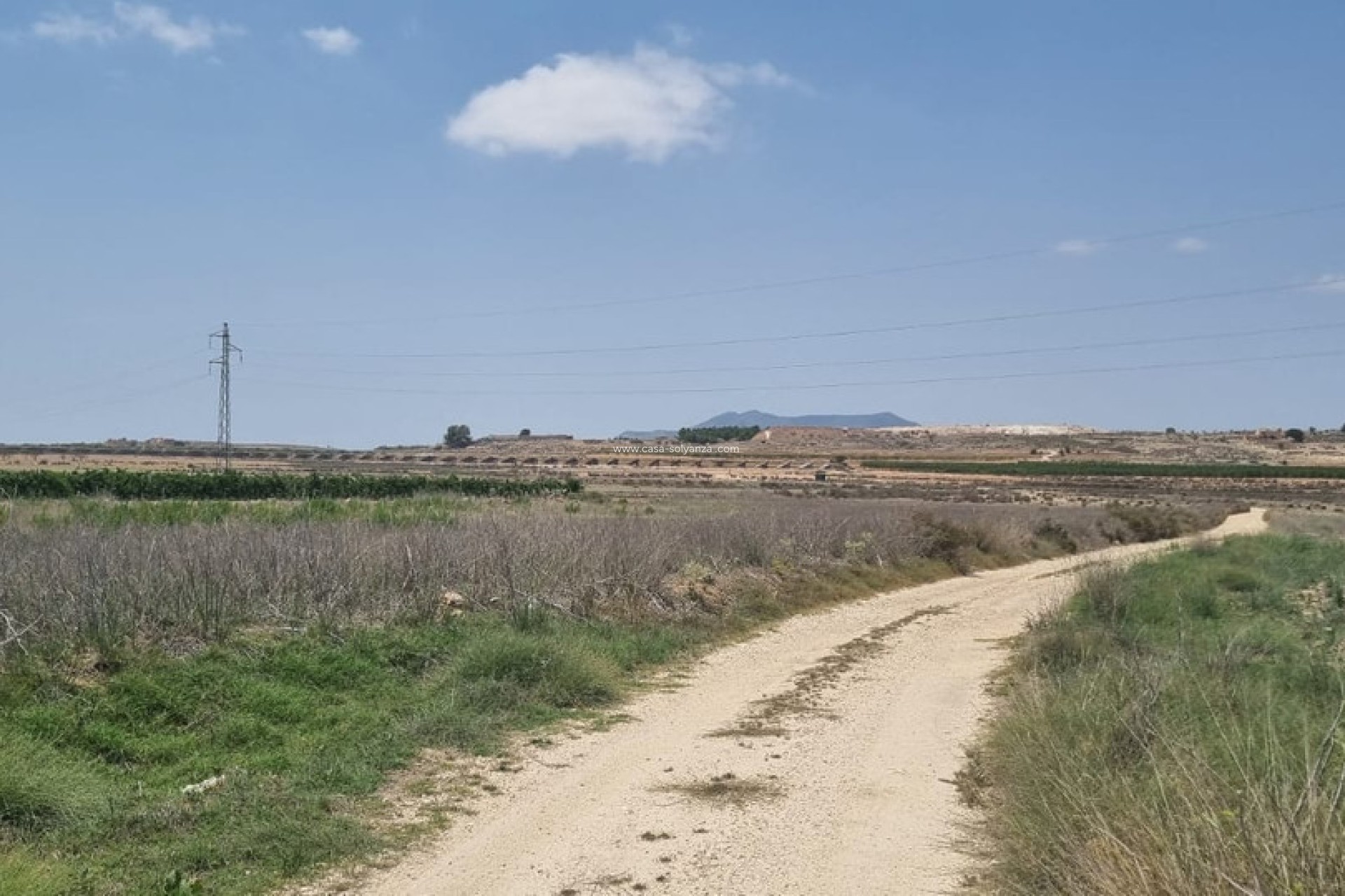 Resale - Land - Pinoso - Pinoso Centro