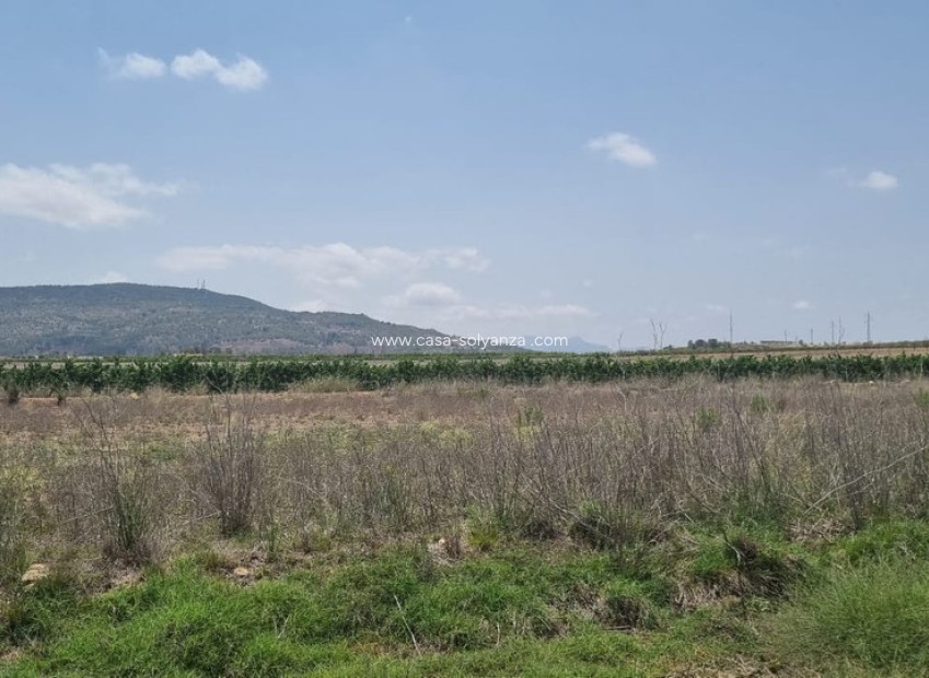 Resale - Land - Pinoso - Pinoso Centro