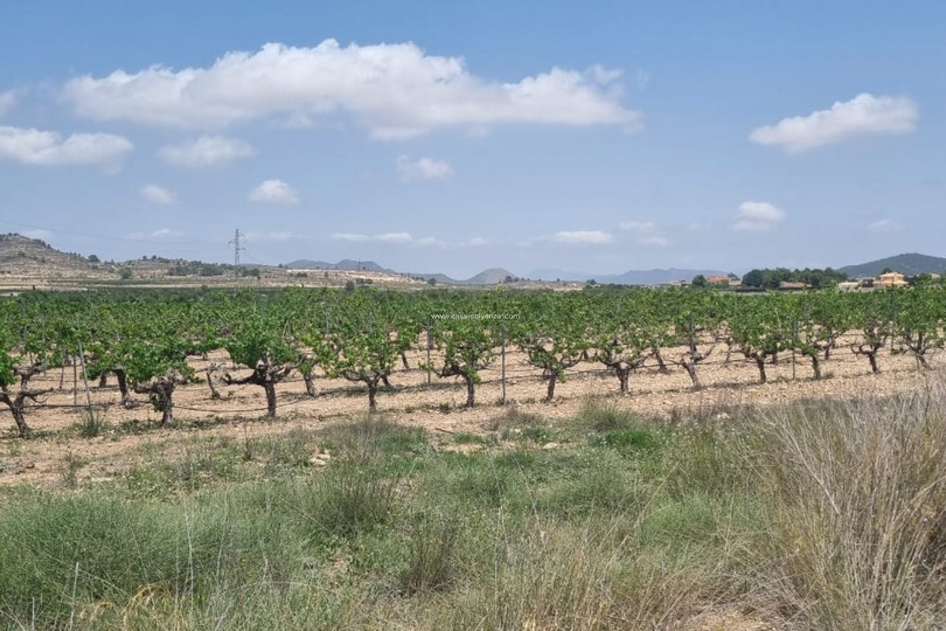 Resale - Land - Pinoso - Pinoso Centro