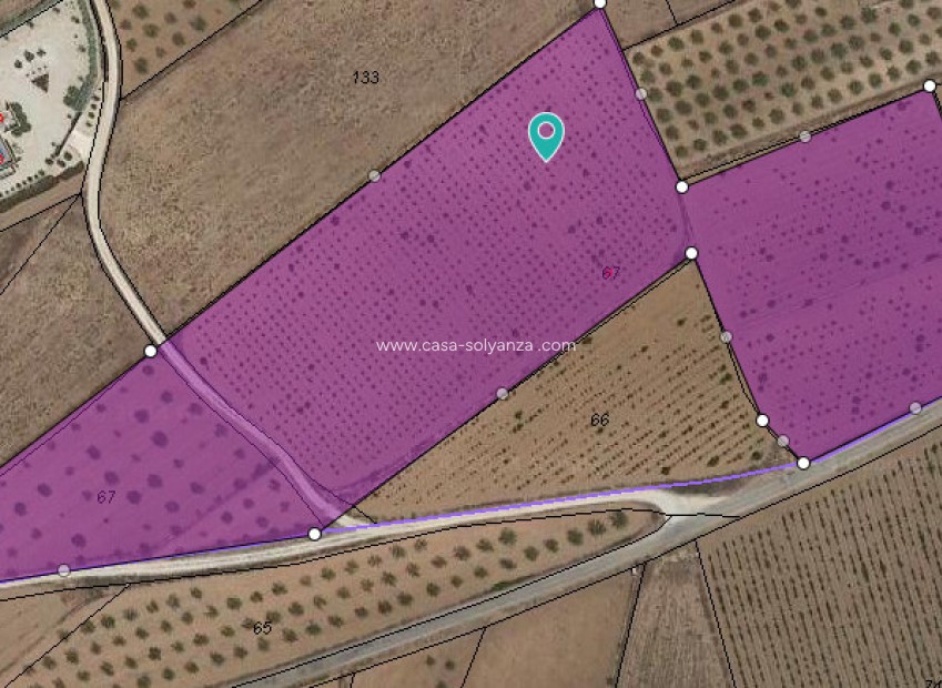 Resale - Land - Pinoso - Pinoso Centro