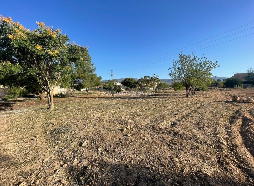 Resale - Land - Pinoso