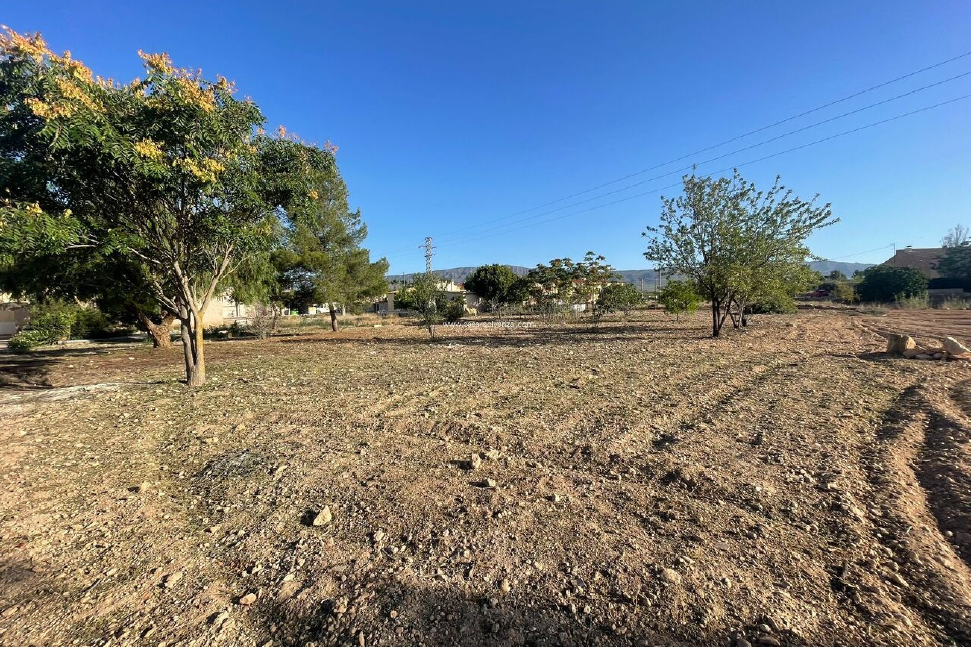 Resale - Land - Pinoso