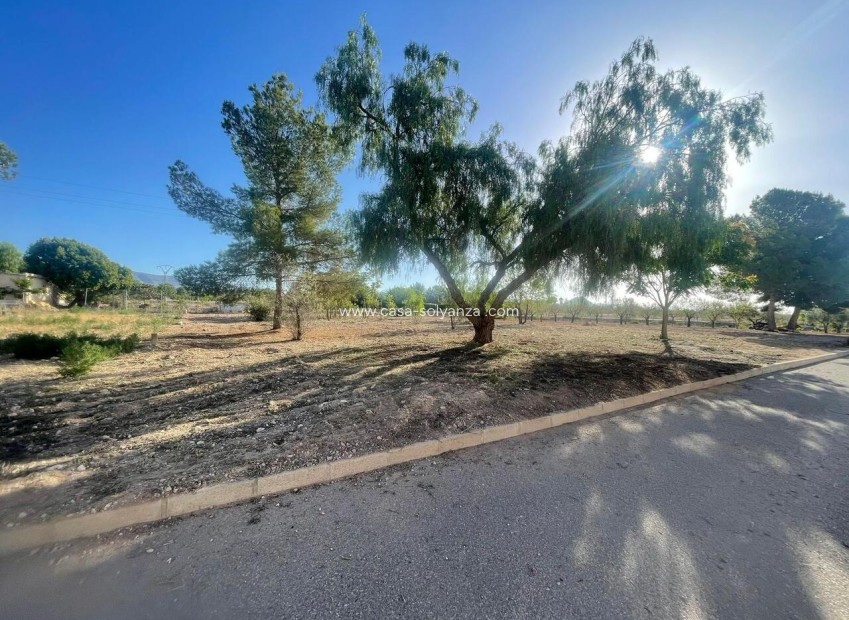 Resale - Land - Pinoso