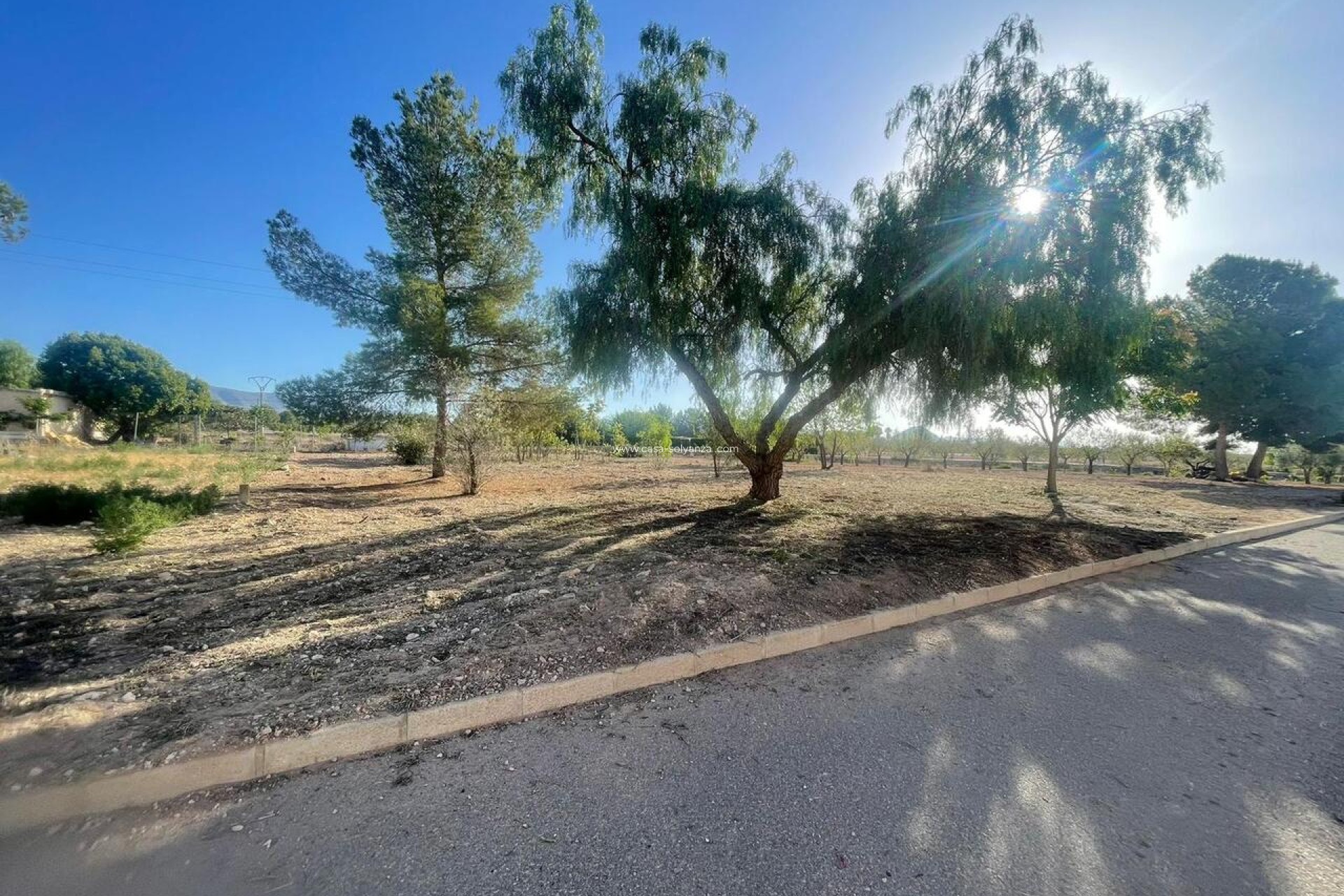 Resale - Land - Pinoso