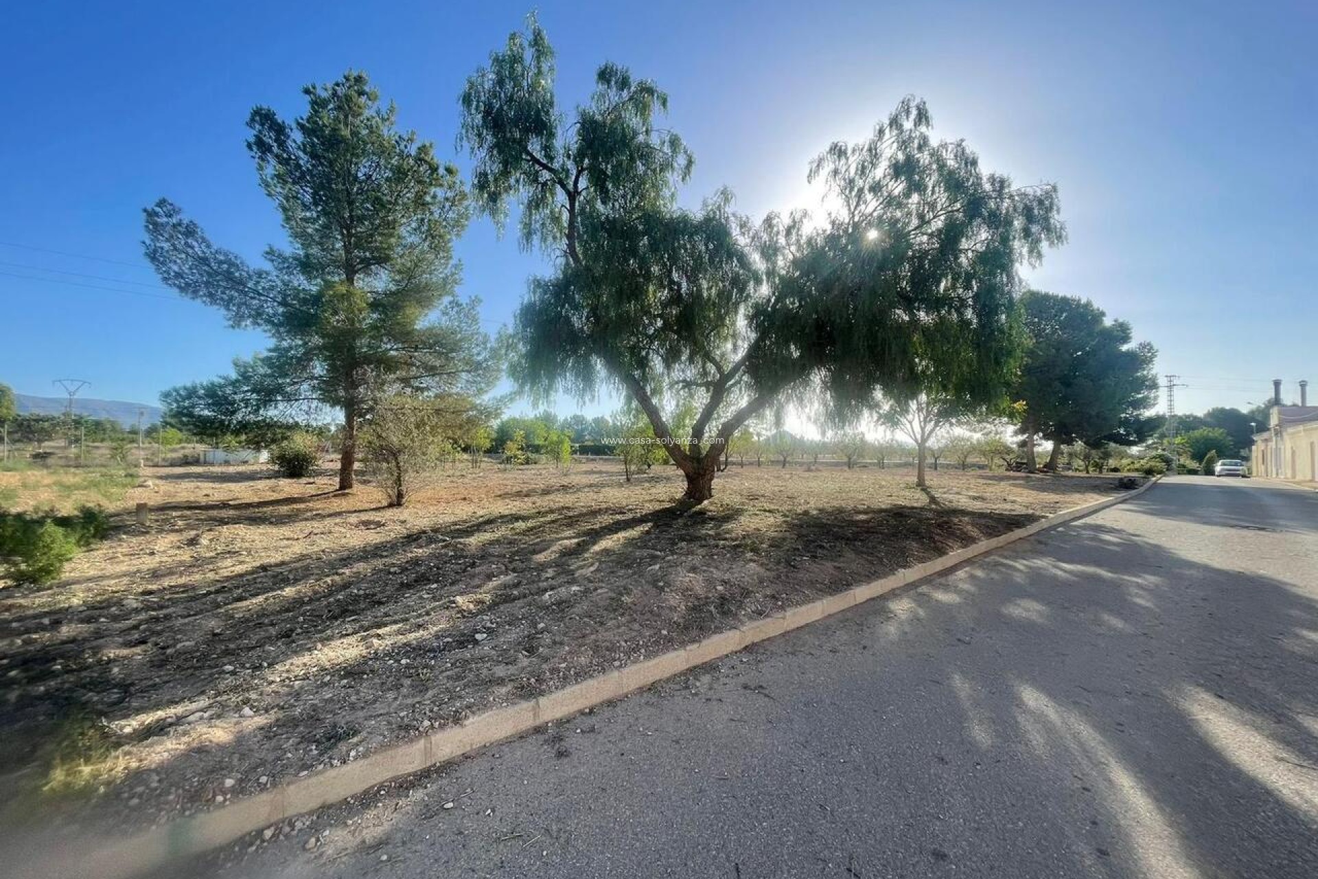 Resale - Land - Pinoso