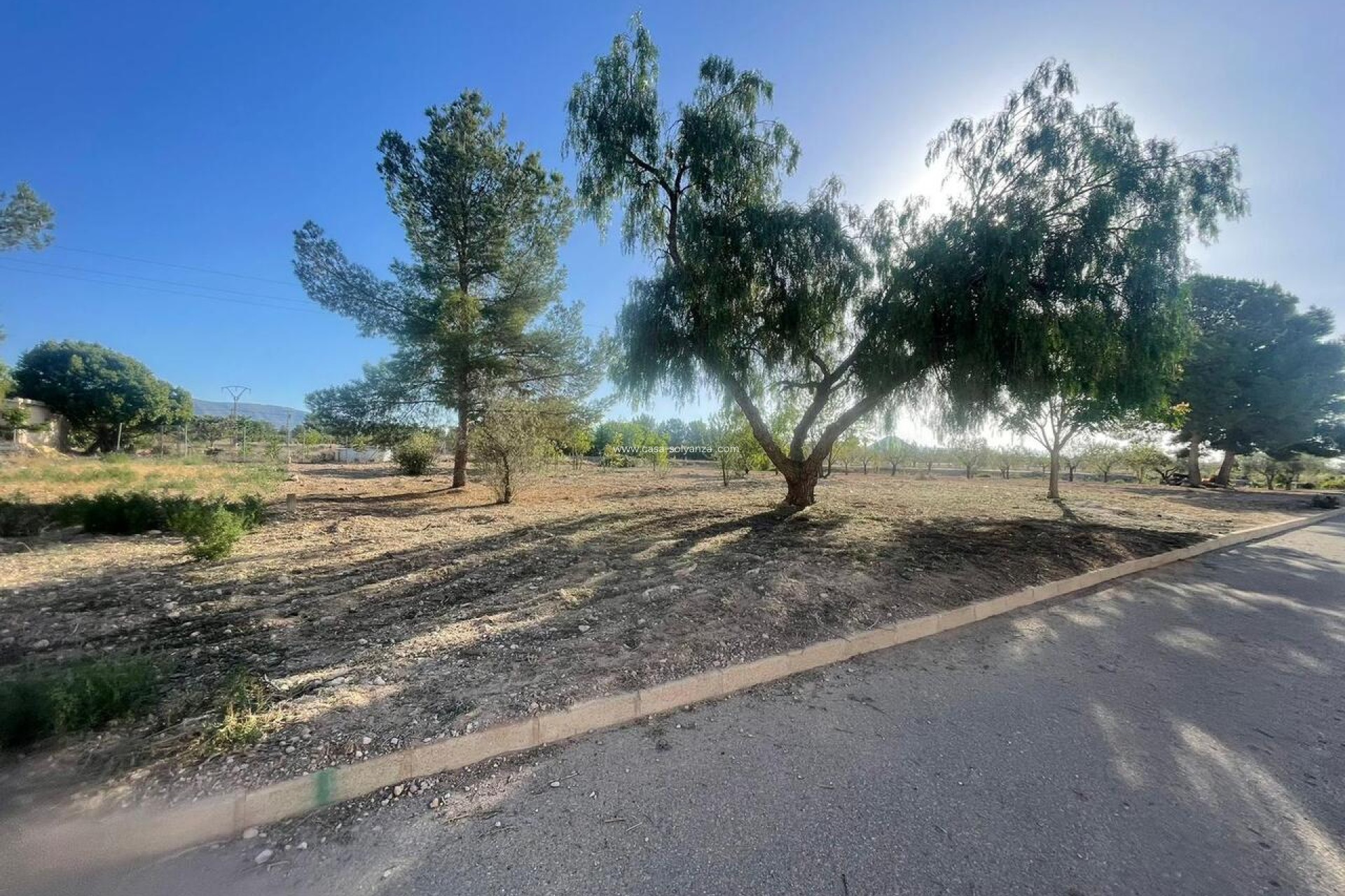 Resale - Land - Pinoso