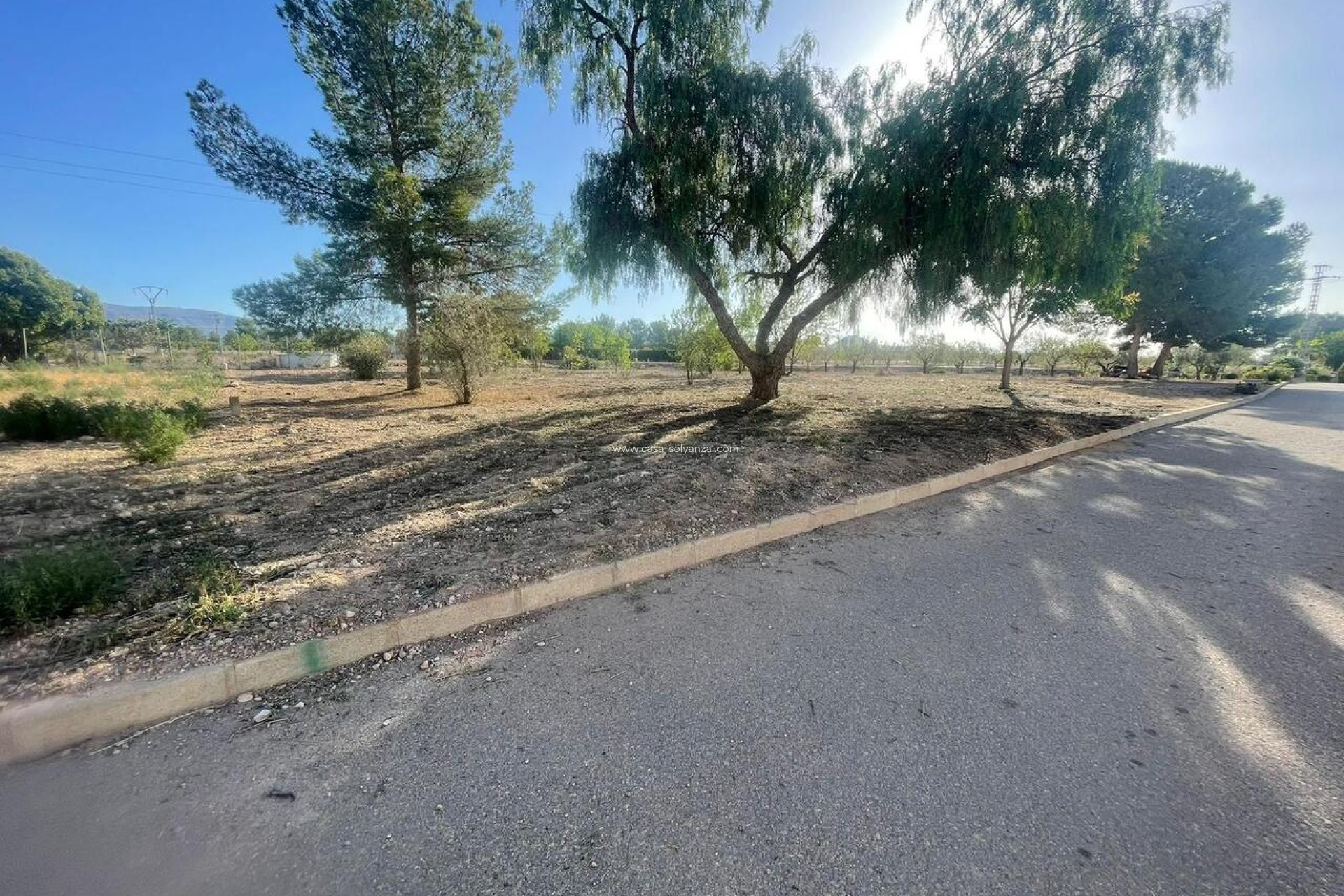 Resale - Land - Pinoso