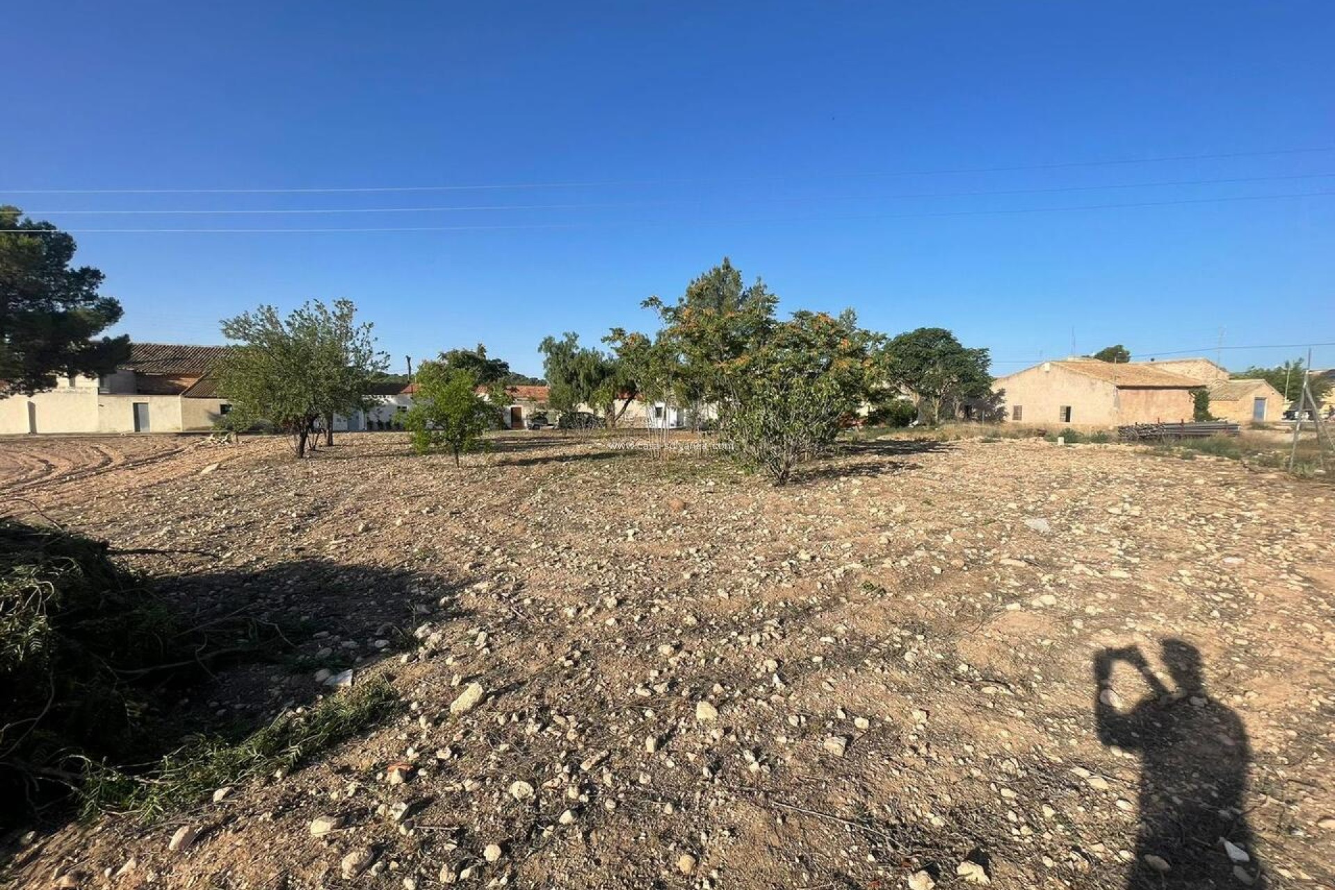 Resale - Land - Pinoso