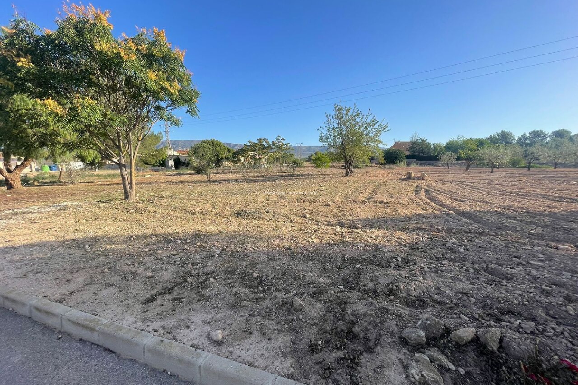 Resale - Land - Pinoso