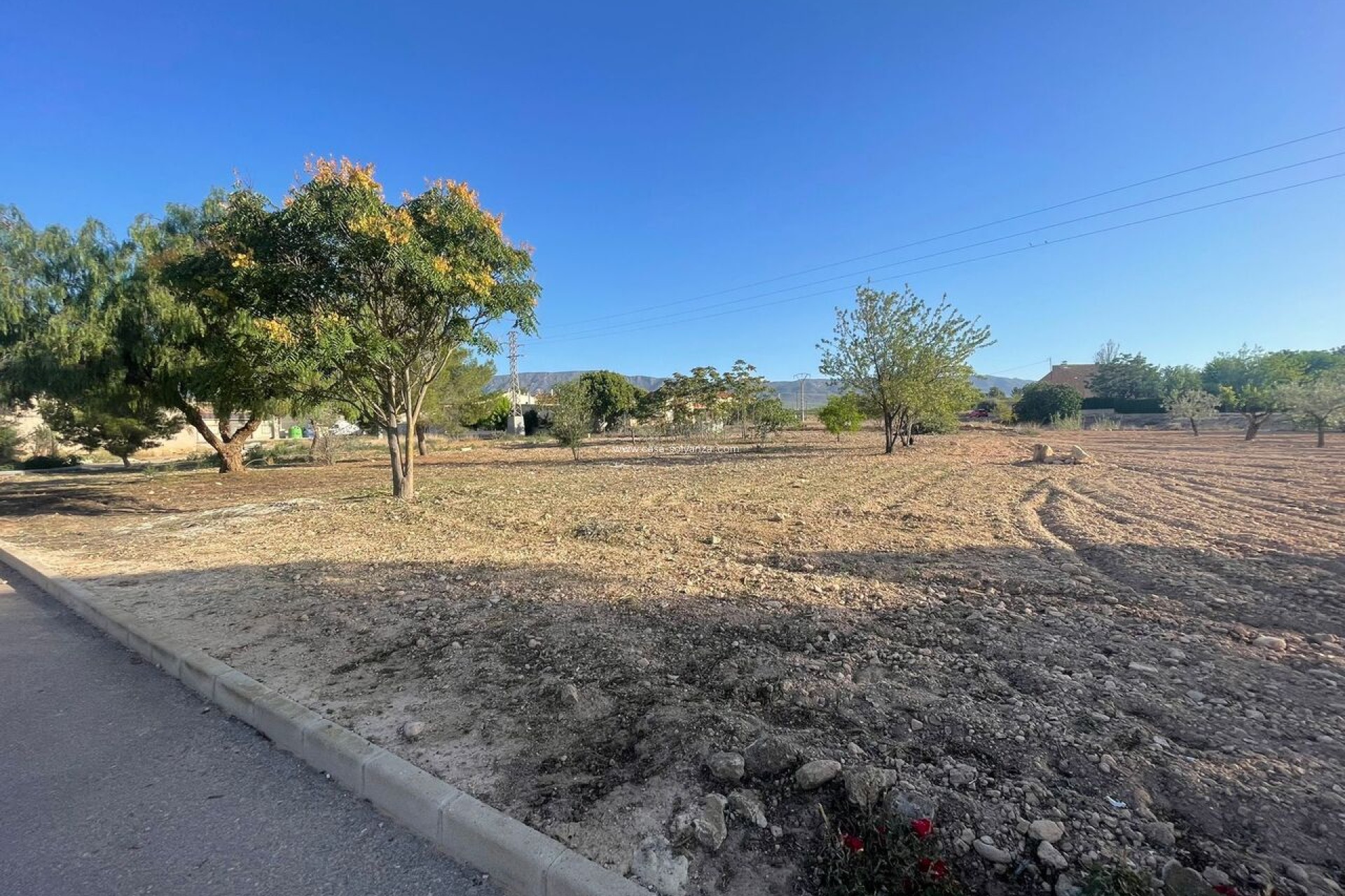 Resale - Land - Pinoso